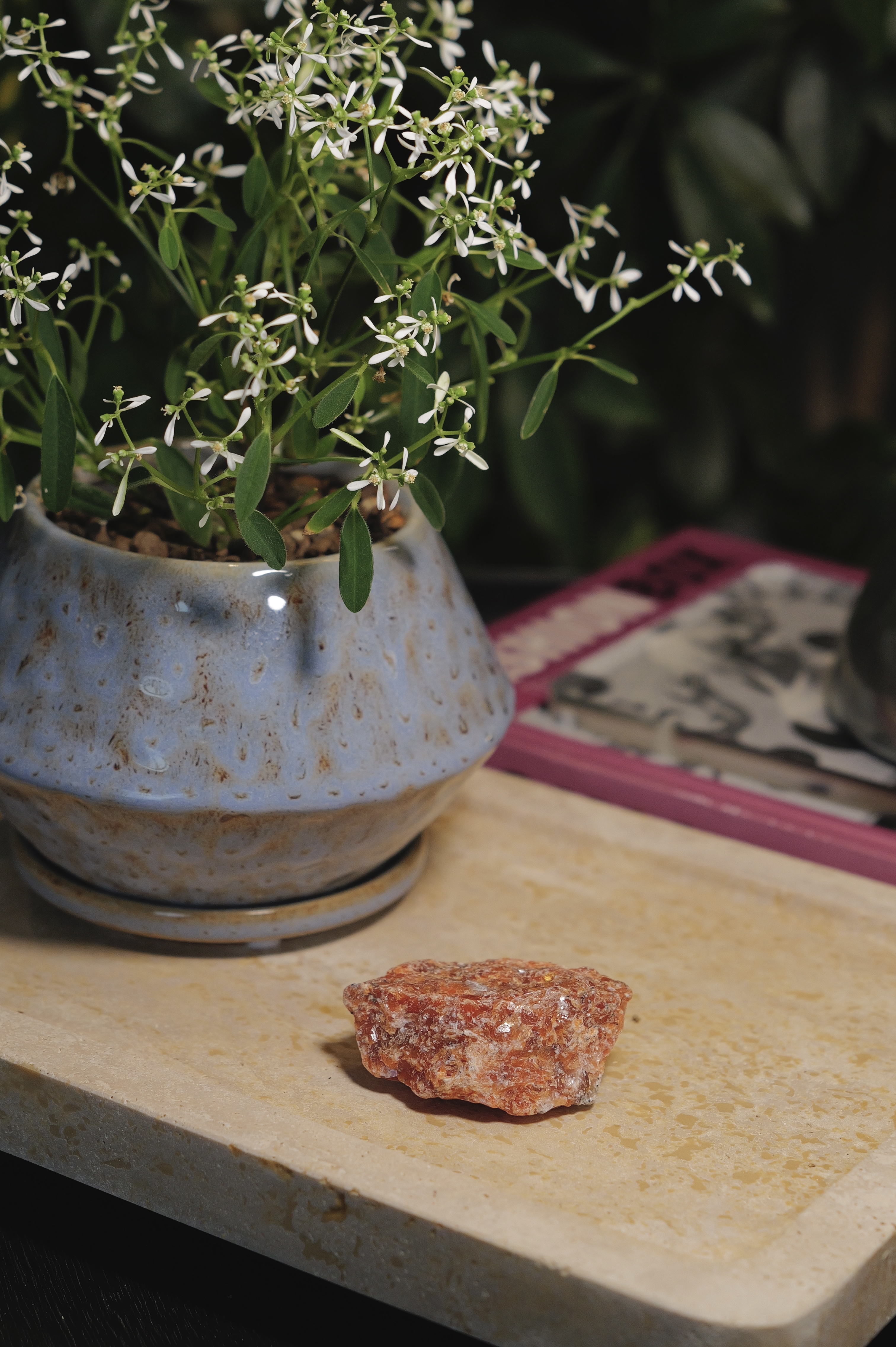 ༒6.2cm金太陽原石  ༒ SS.7058CGS8-RB3*2mf