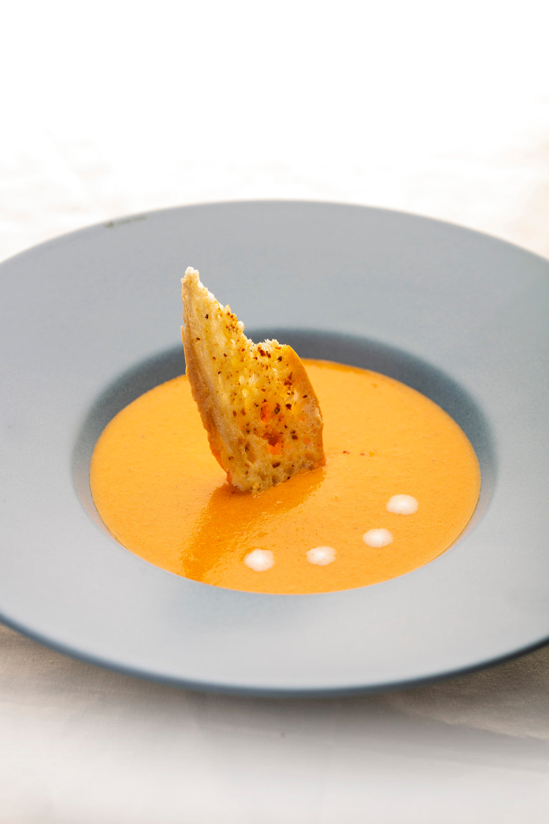 FUSION TMK21 Pasta/Soup Plate 28cm