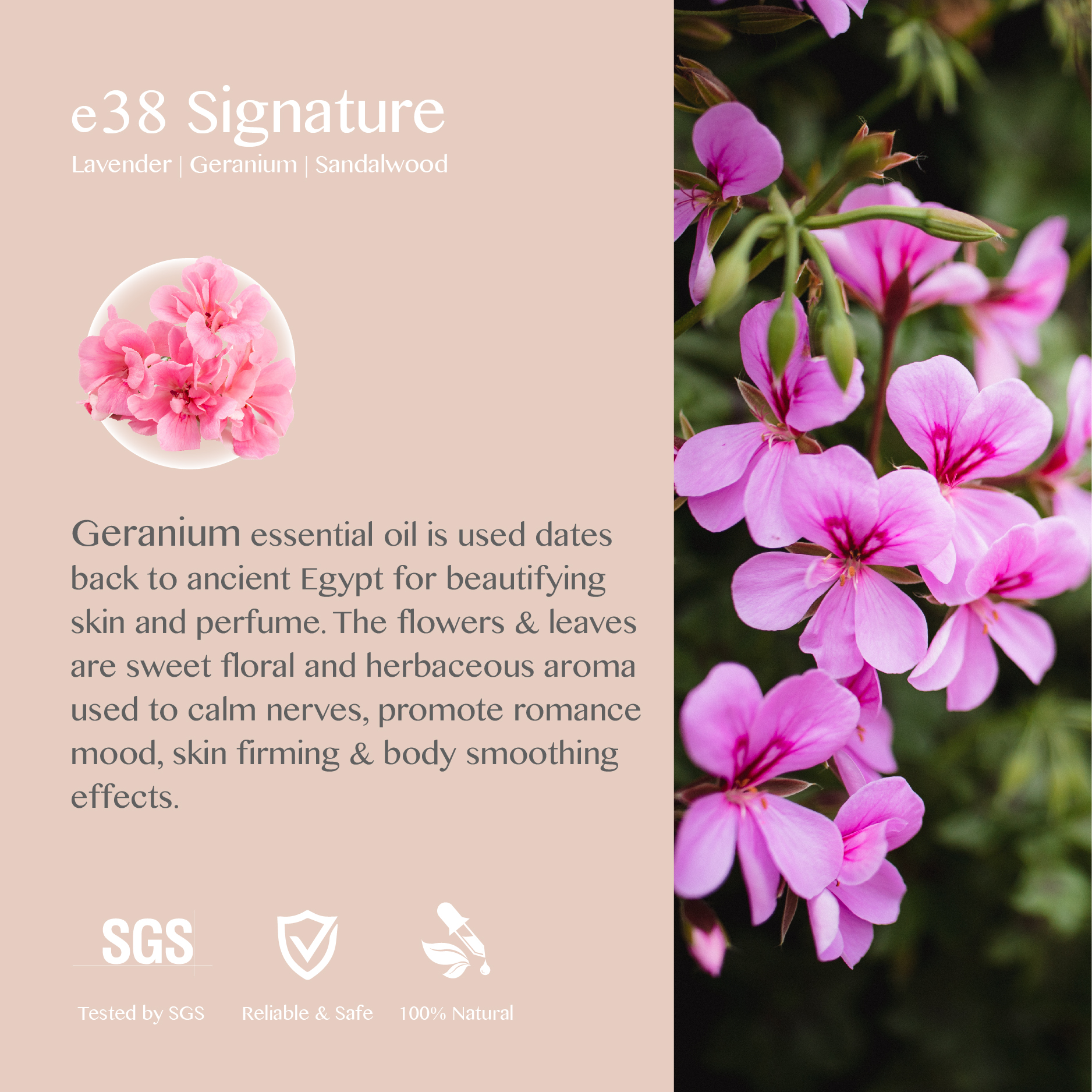 eBlend Signature — Inner Poise (10ml)