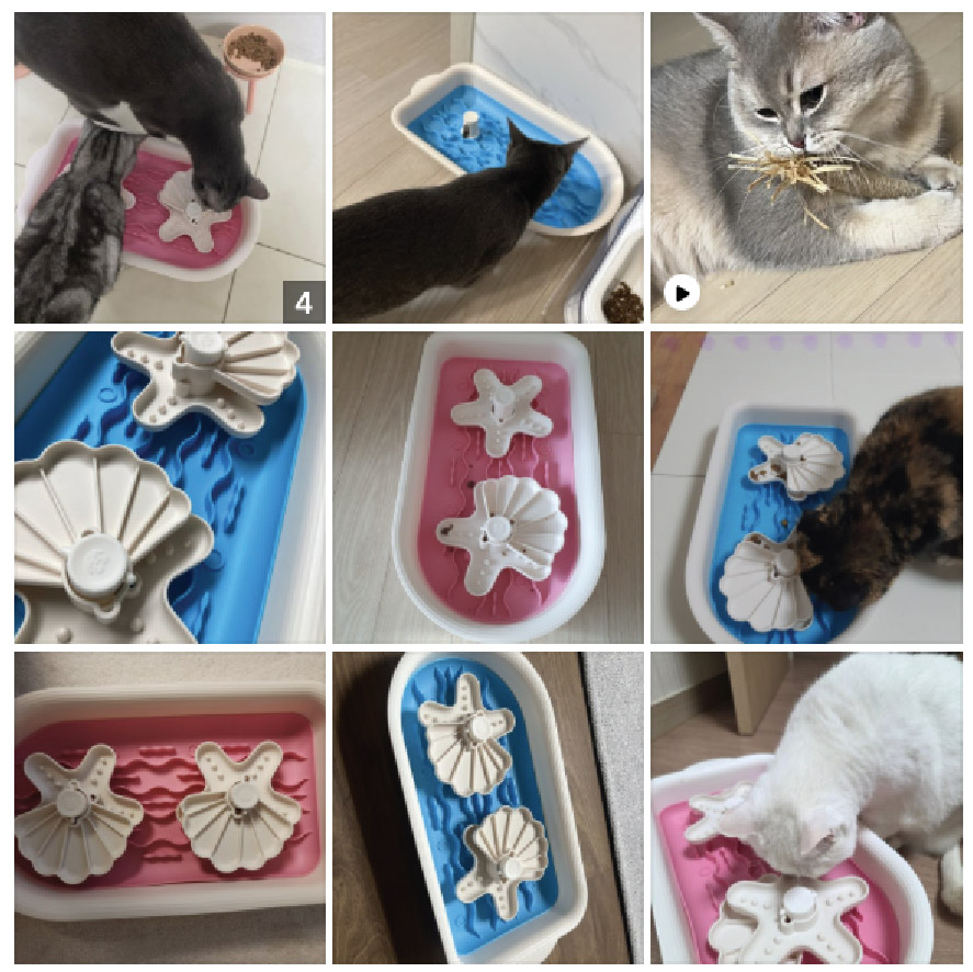 海洋乾濕分離慢食碗