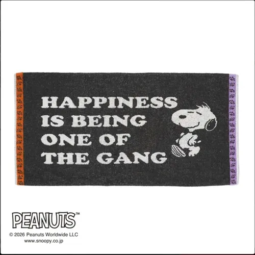 日本直送~新款Snoopy毛巾枕頭套 灰色