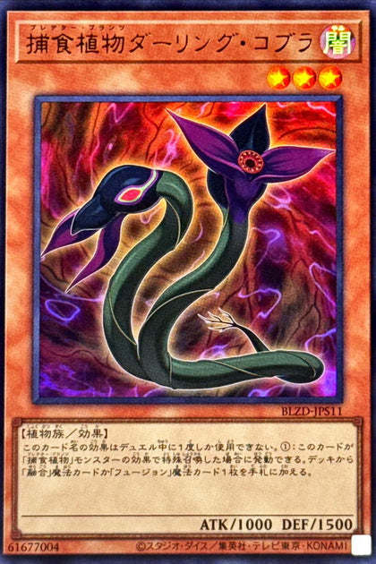 BLZD-JPS12(UR) 捕食植物腺毛草胡蜂