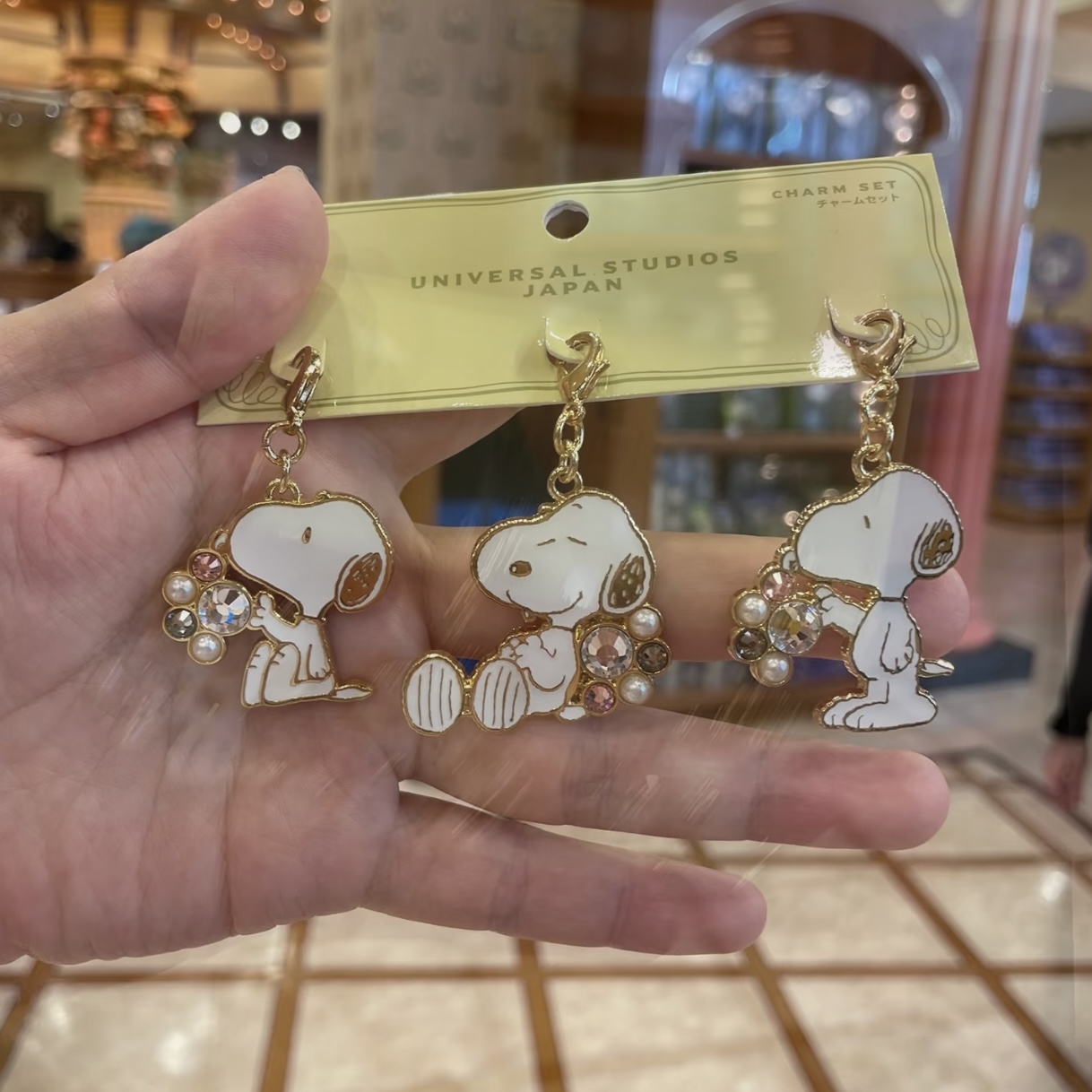Peanuts Charm Set