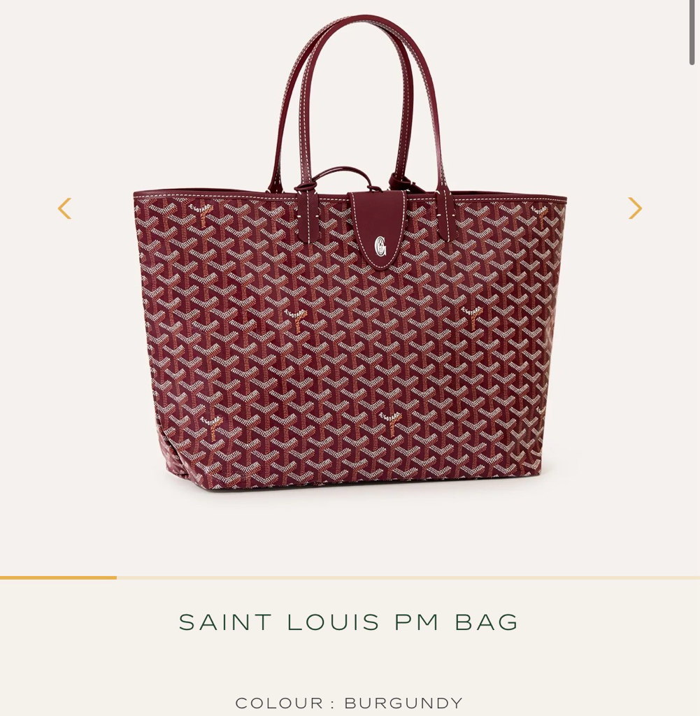 Goyard Saint Louis PM Bag (新款附包夾）