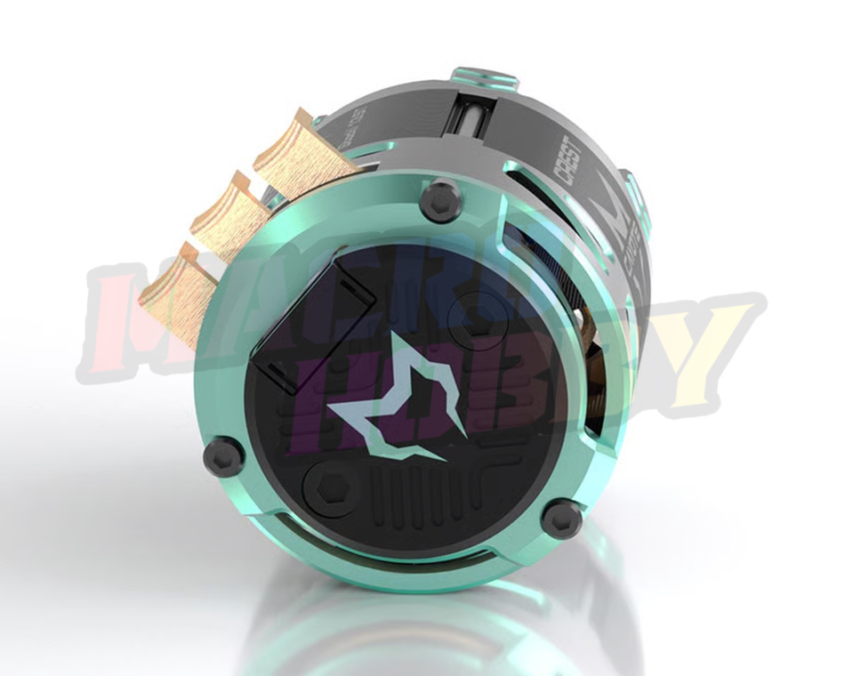 Cayote Crest Stocki 1/10 Brushless Competition Sensored Motor (17.5T) CYEB11012 #610003
