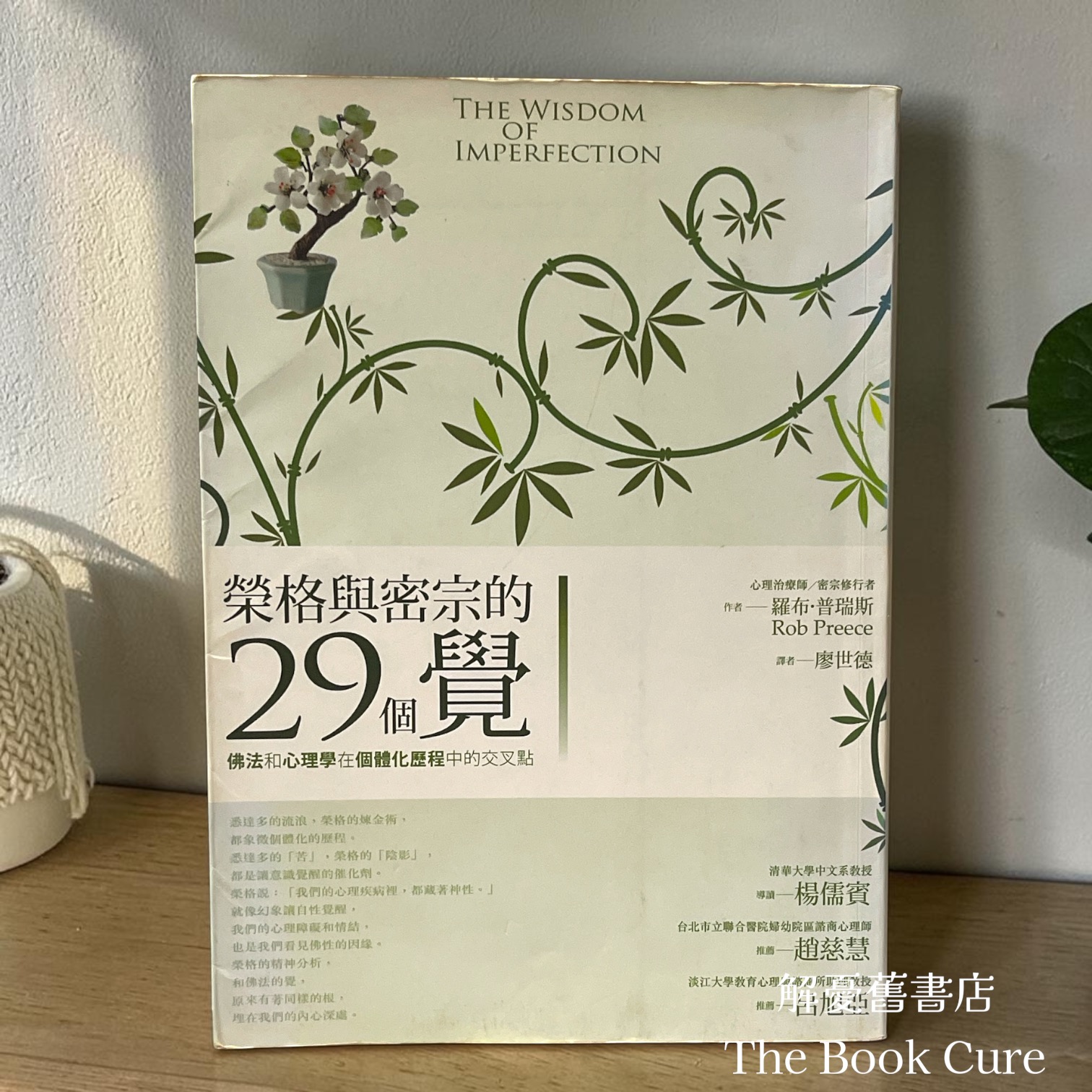 榮格與密宗的29個「覺」：佛法和心理學在個體化歷程中的交叉點 / 羅布．普瑞斯 著