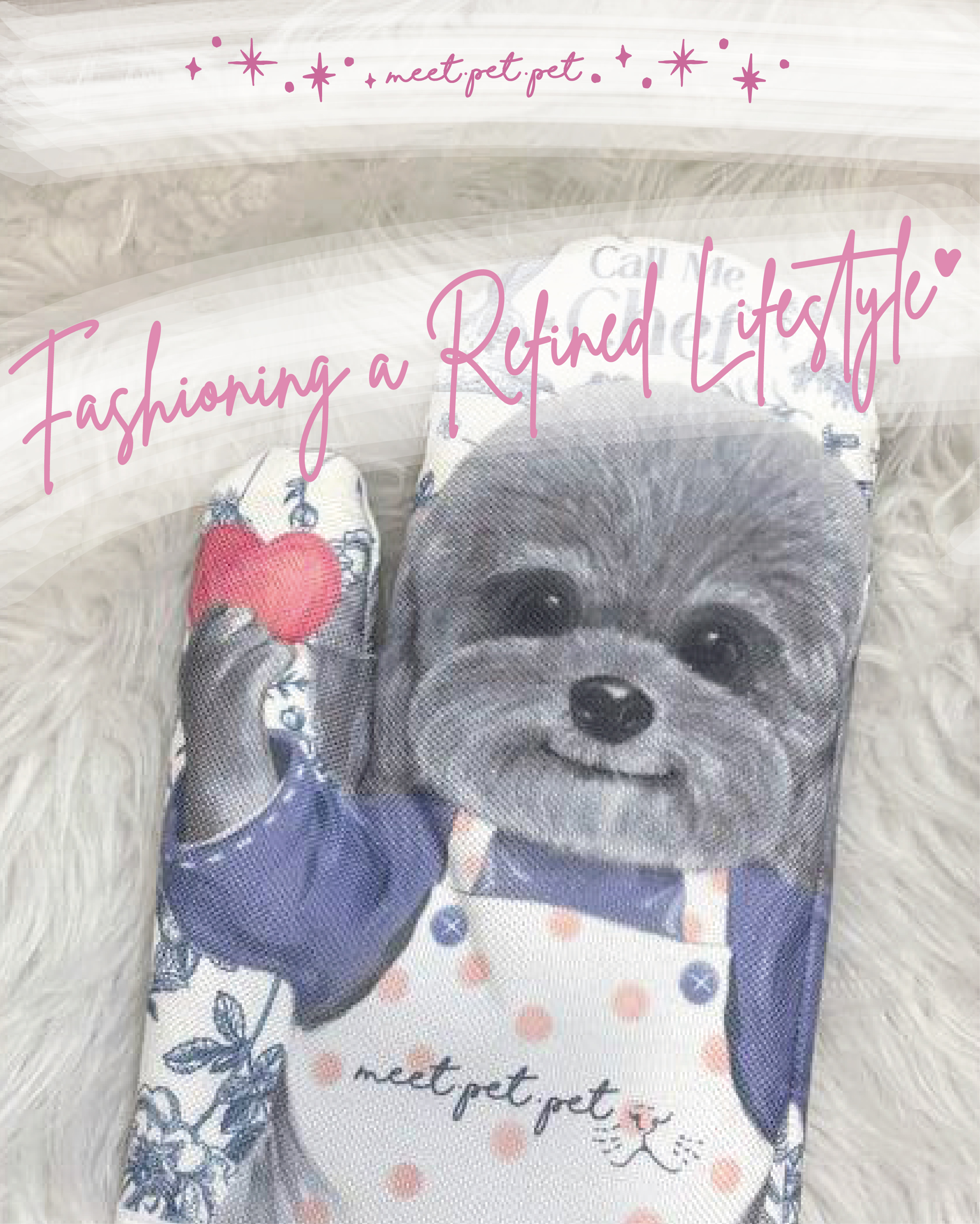 ⋆ 貴婦狗 ⋆ 隔熱手套 ⋆ Poodle ⋆