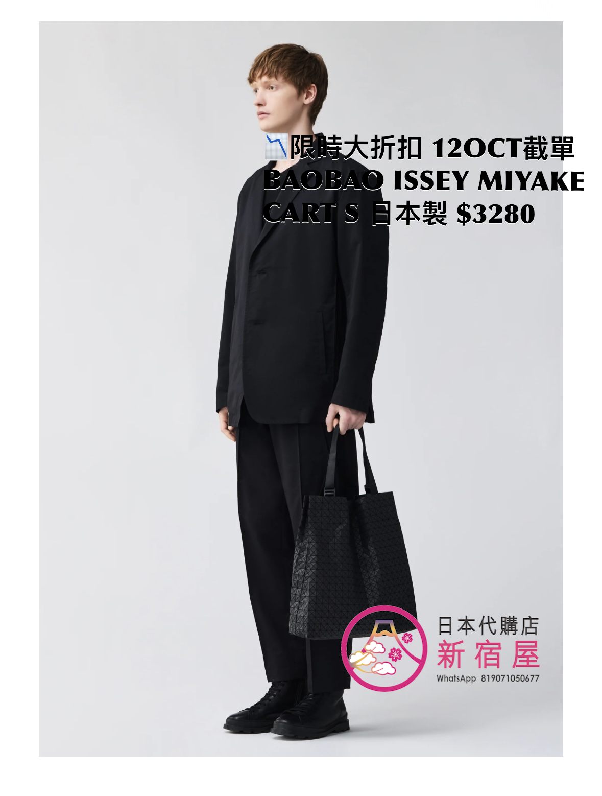 BAOBAO ISSEY MIYAKE CART S