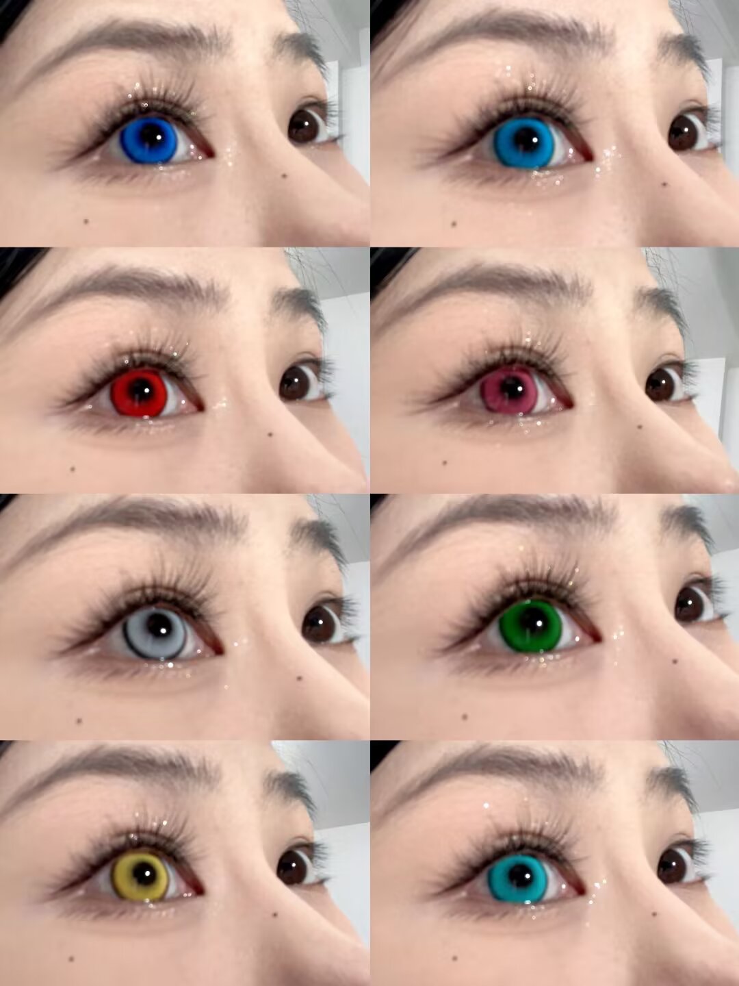 Apricotcon 日拋2片 淮竹系列