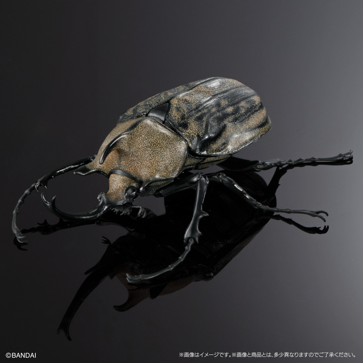 [GOL]THE DIVERSITY OF LIFE ON EARTH ADVANCE BEETLE 04 DISPLAY STAND & BARK PEDESTAL (MEDIUM) SET