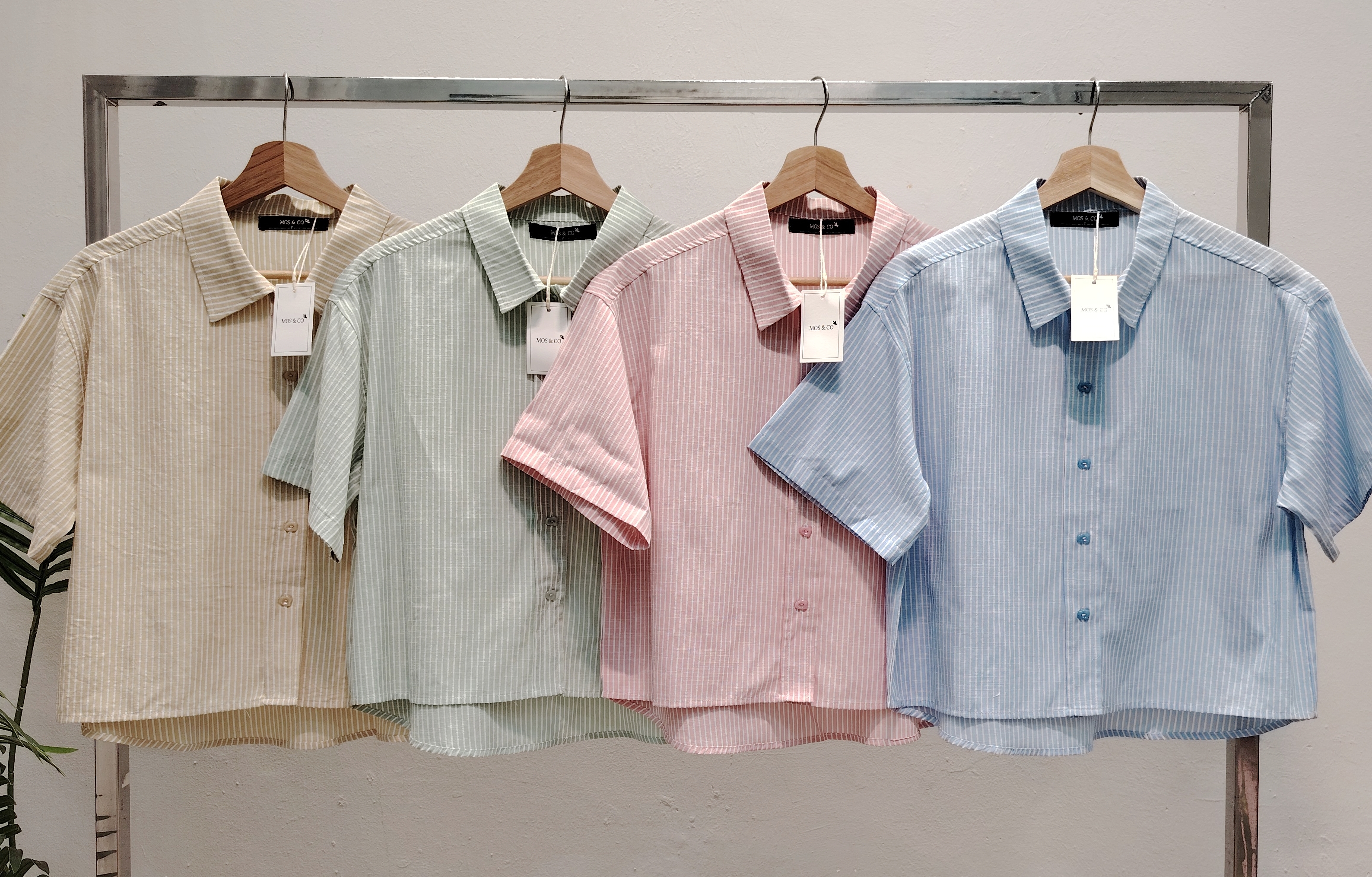 LY1560.1 Striped Collar Short Sleeve Shirt