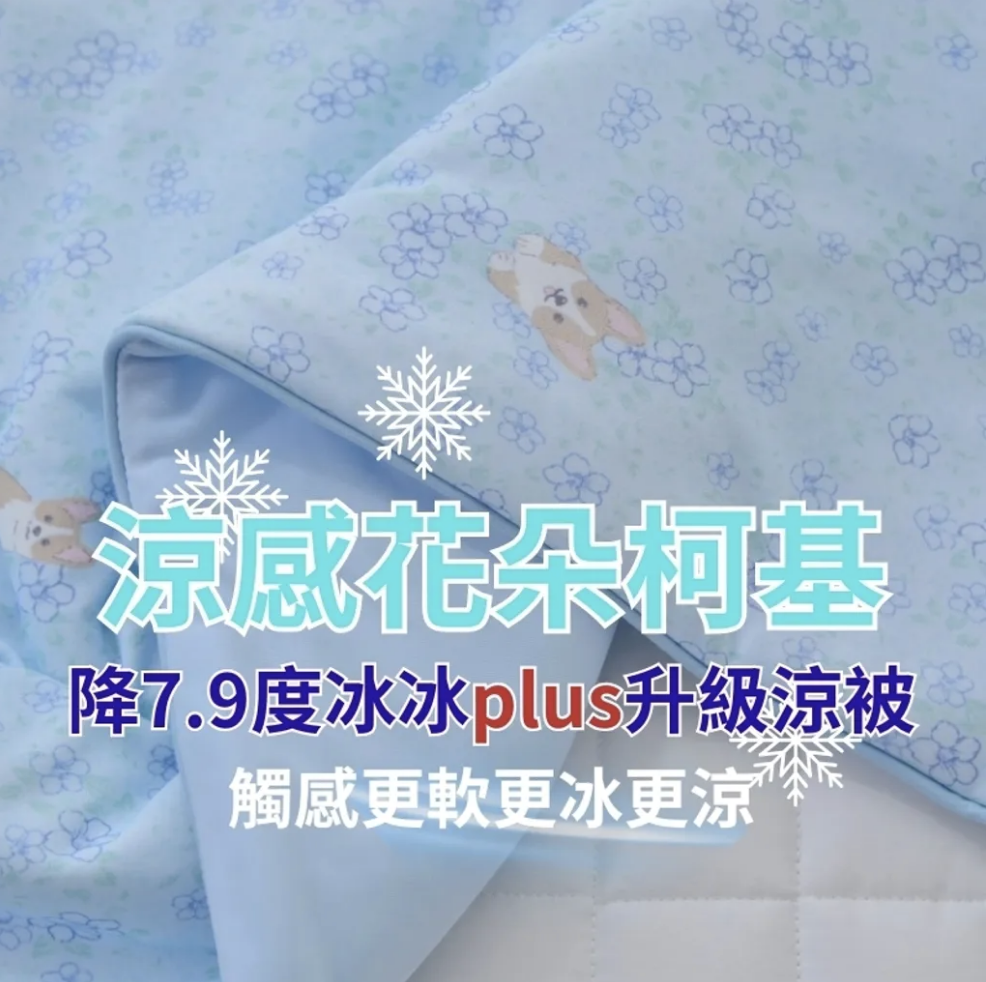 🇰🇷韓國兒童被/成人被 - 涼感花朵柯基
