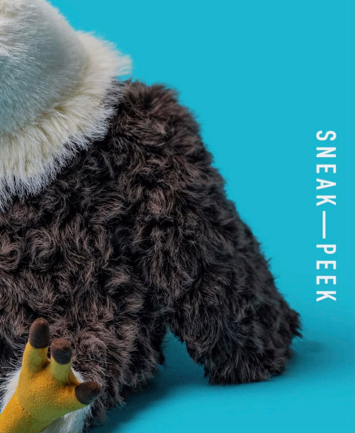 Jellycat 美國德州達拉斯限定 Algernon Eagle 老鷹 H26cm 不含Pin和貼紙