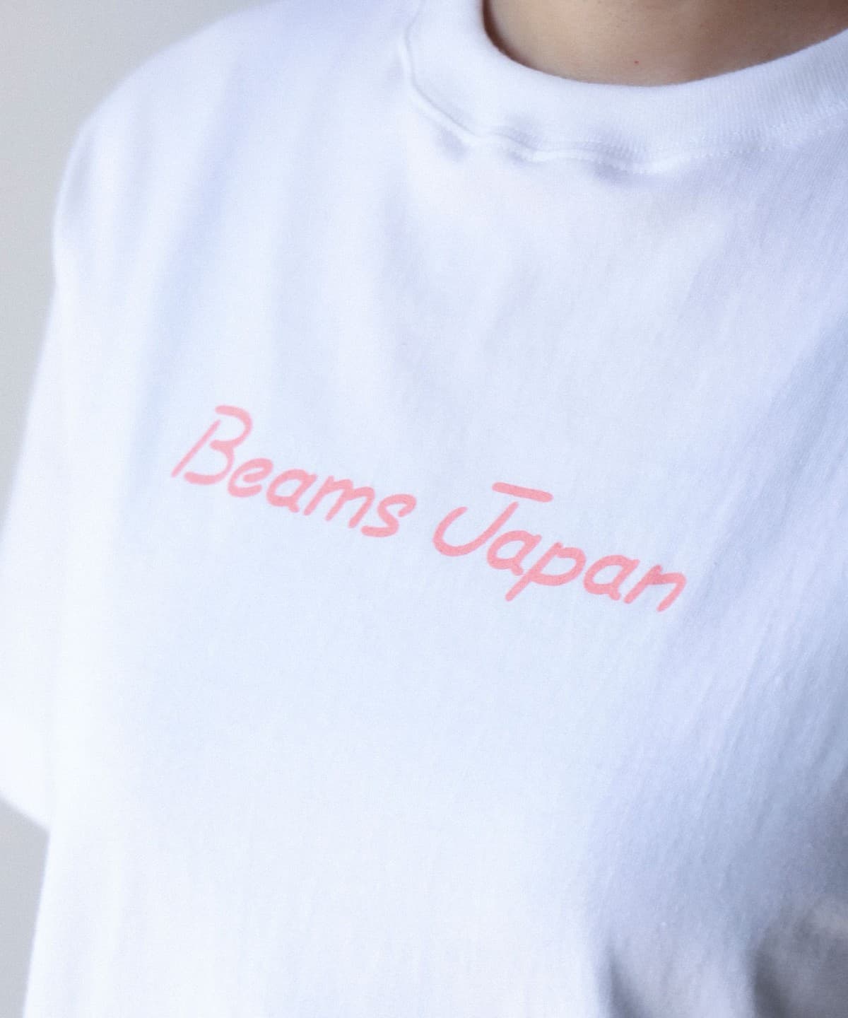 【预购】BEAMS JAPAN【别注】富士山 T恤 Vol.3