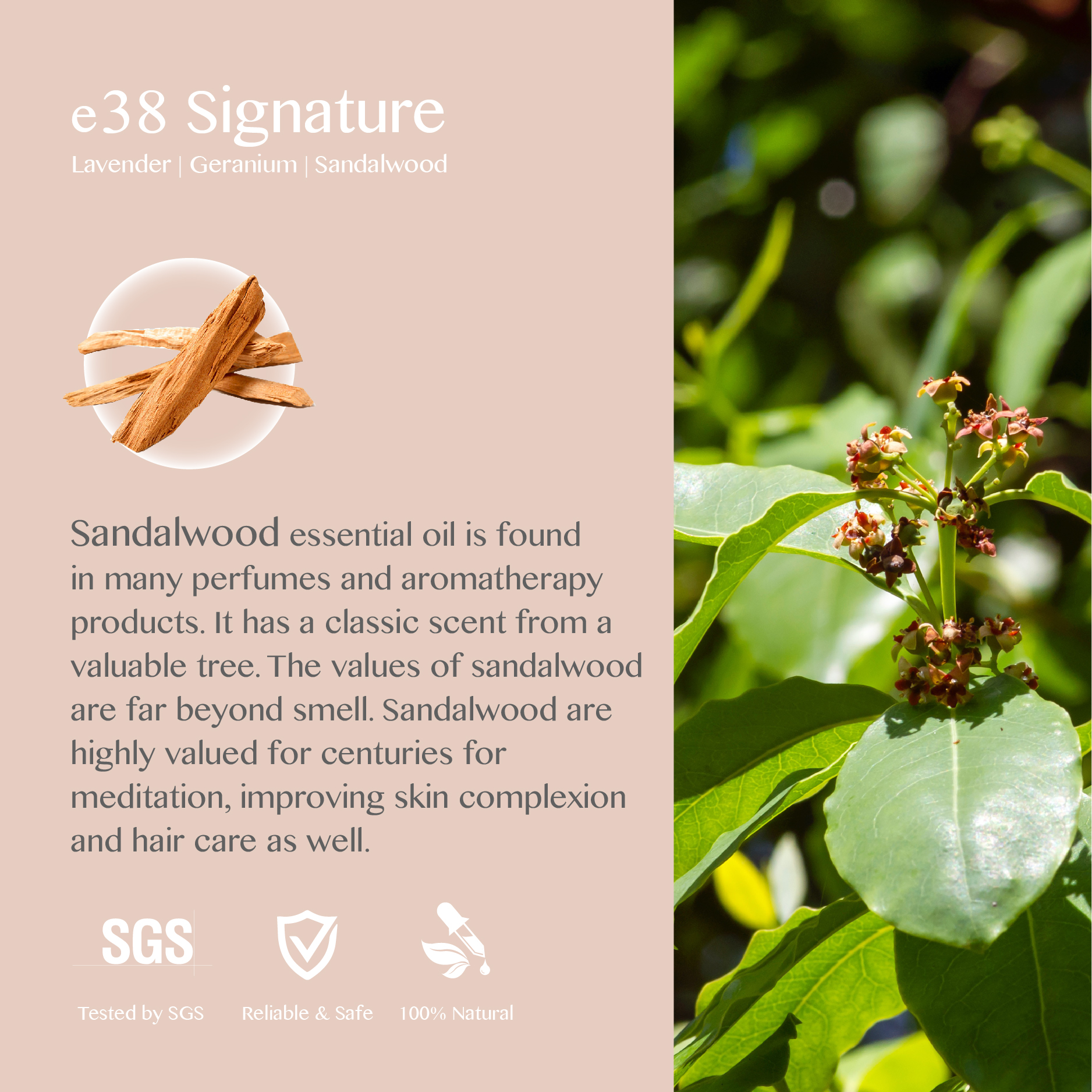 eBlend Signature — Inner Poise (10ml)