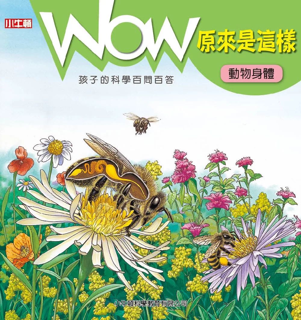 小牛頓 WOW原來是這樣：動物身體