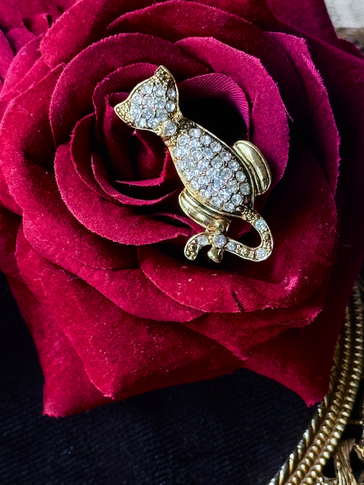 Vintage 1970-80s Nina Ricci Signed "NR" Sparkling Cat Brooch (MT2589-31)