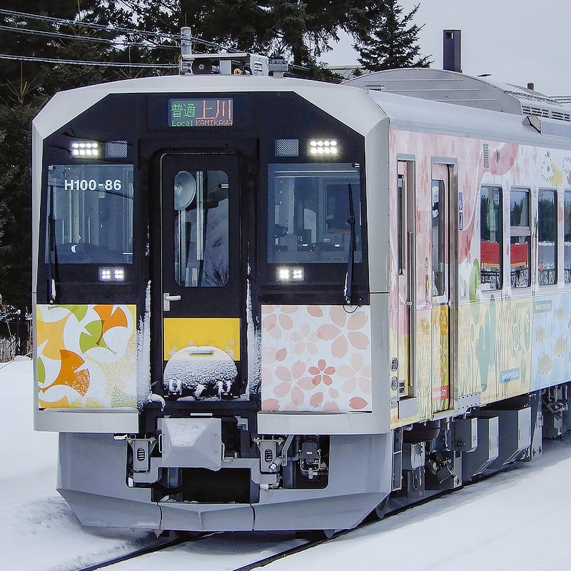 Tomix 98139型號 N規 JR北海道 H100形 根室線・宗谷線ラッピング車セット（兩節一組）