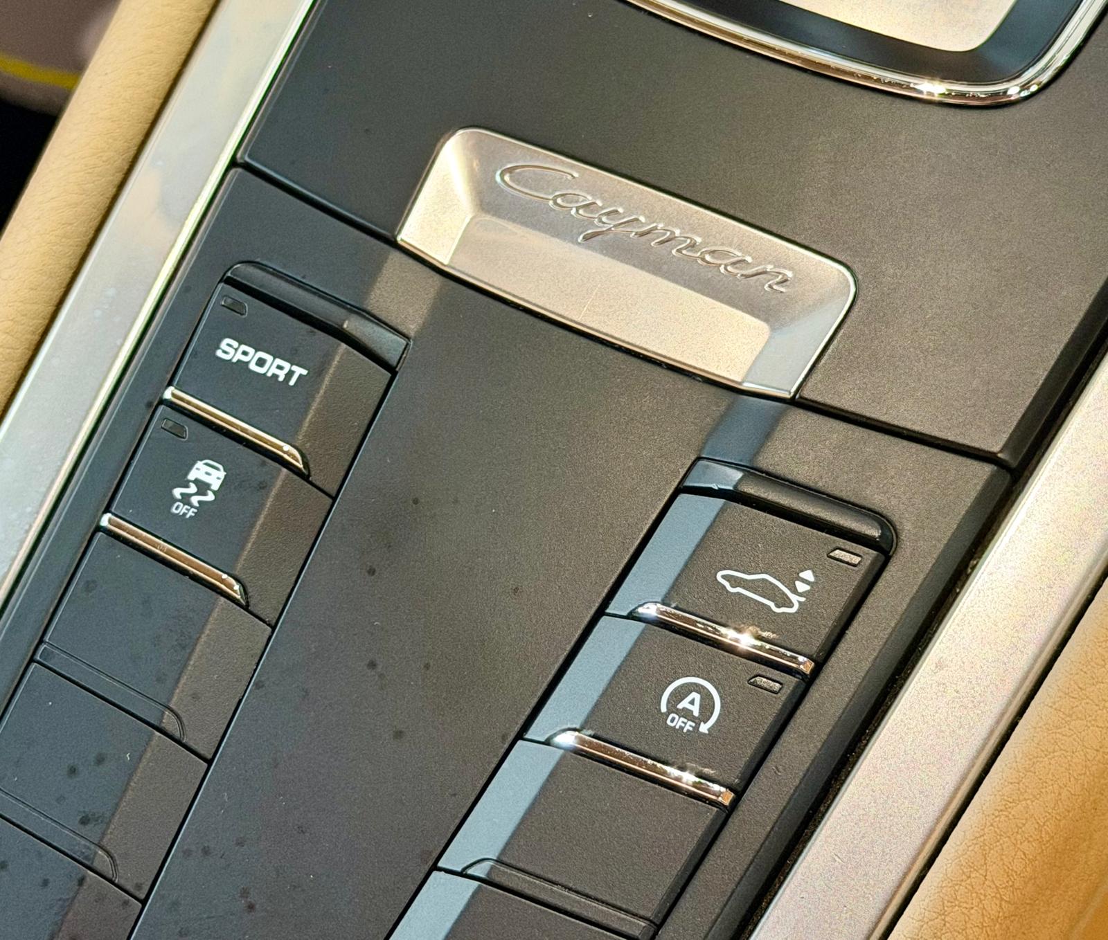 Porsche Cayman 981 2013