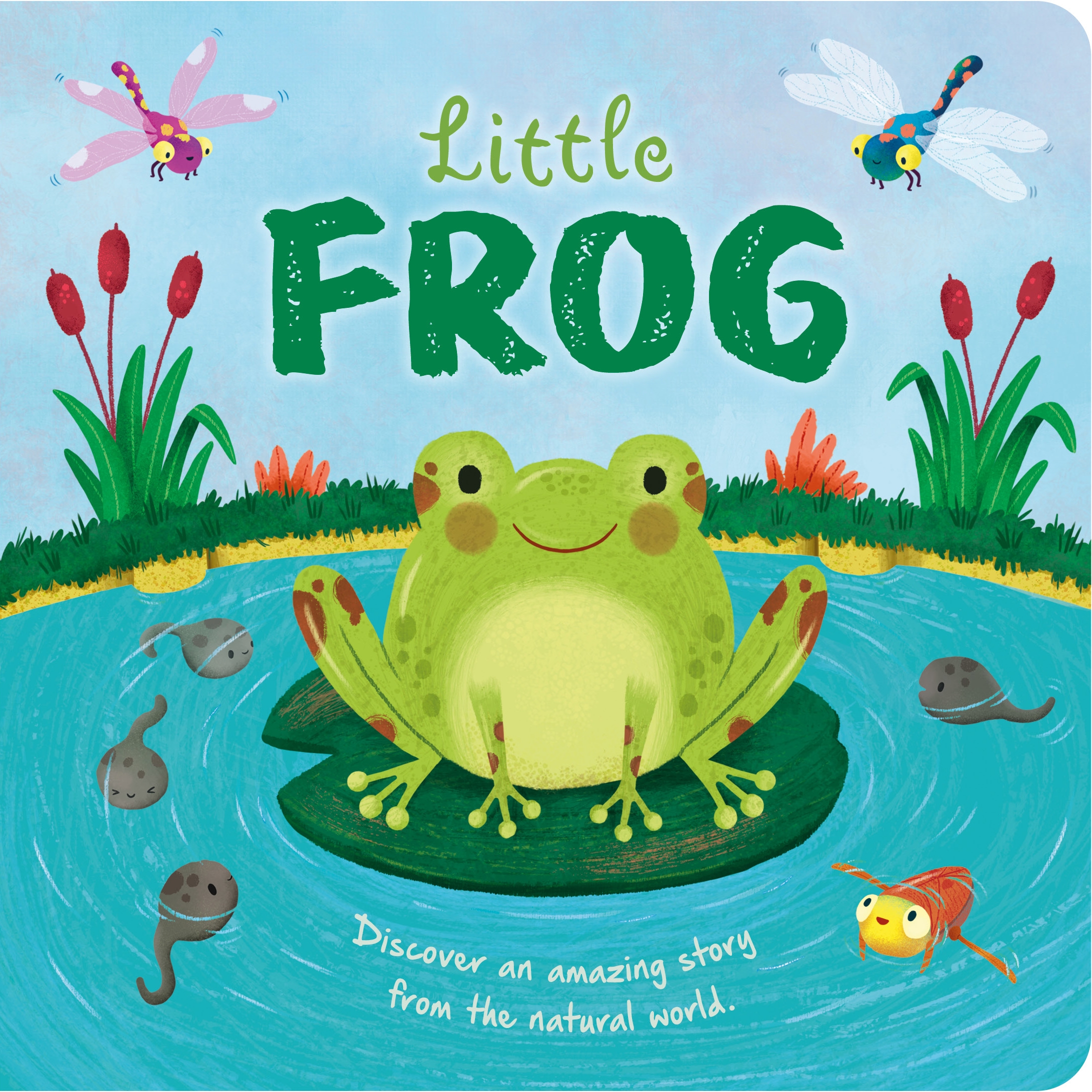 Igloo Books - Mini Story Book - Little Frog