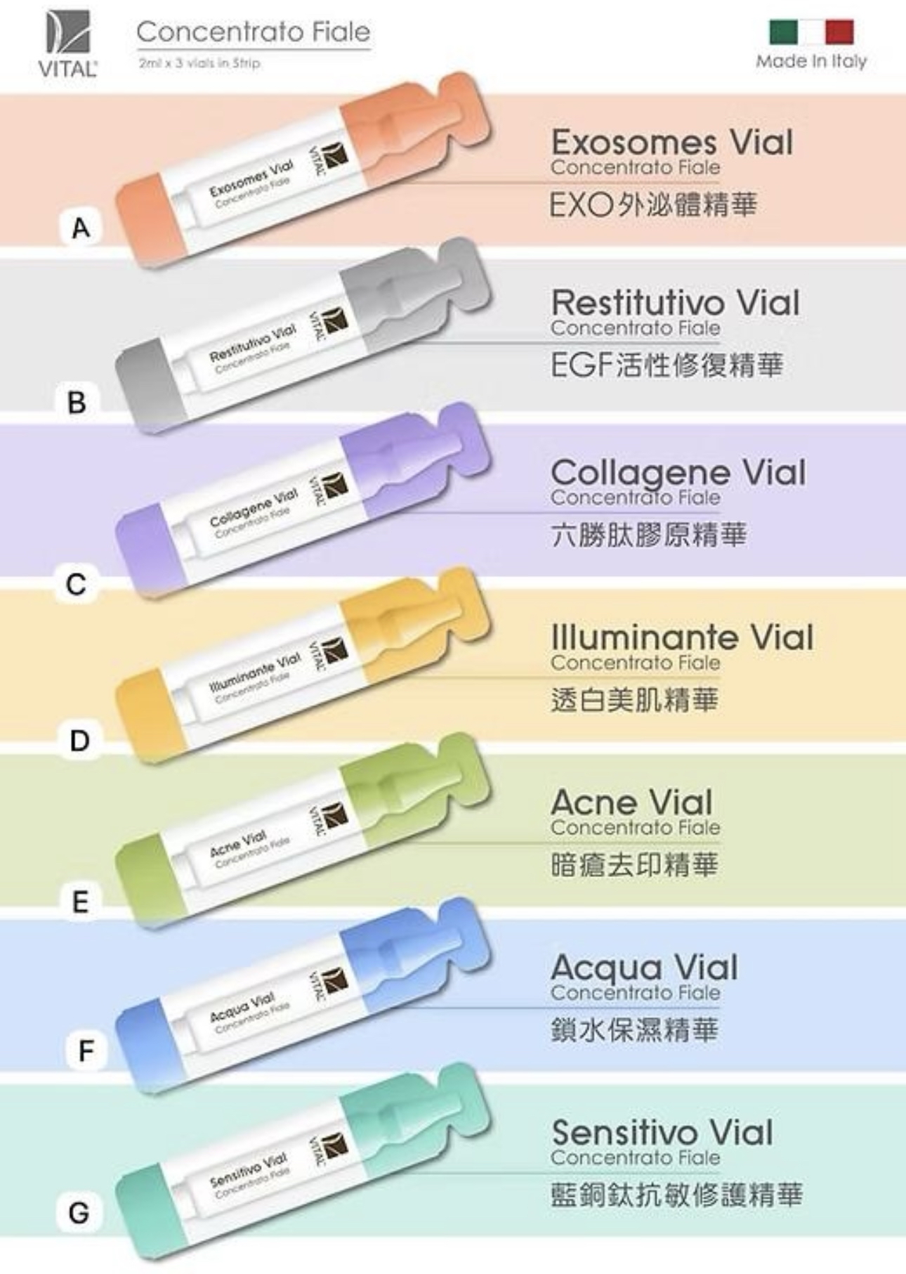 意大利 Vital 皇牌導入精華 (新包裝 12支裝)