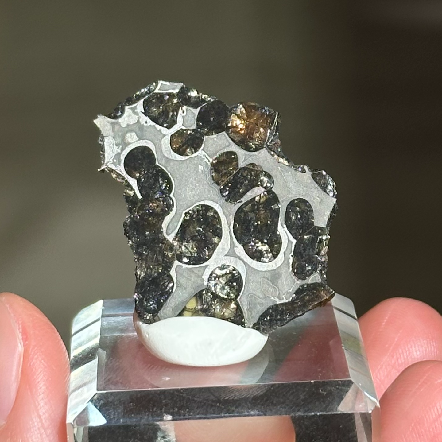 橄欖鐵隕石 - Pallasite Meteorite｜PA06