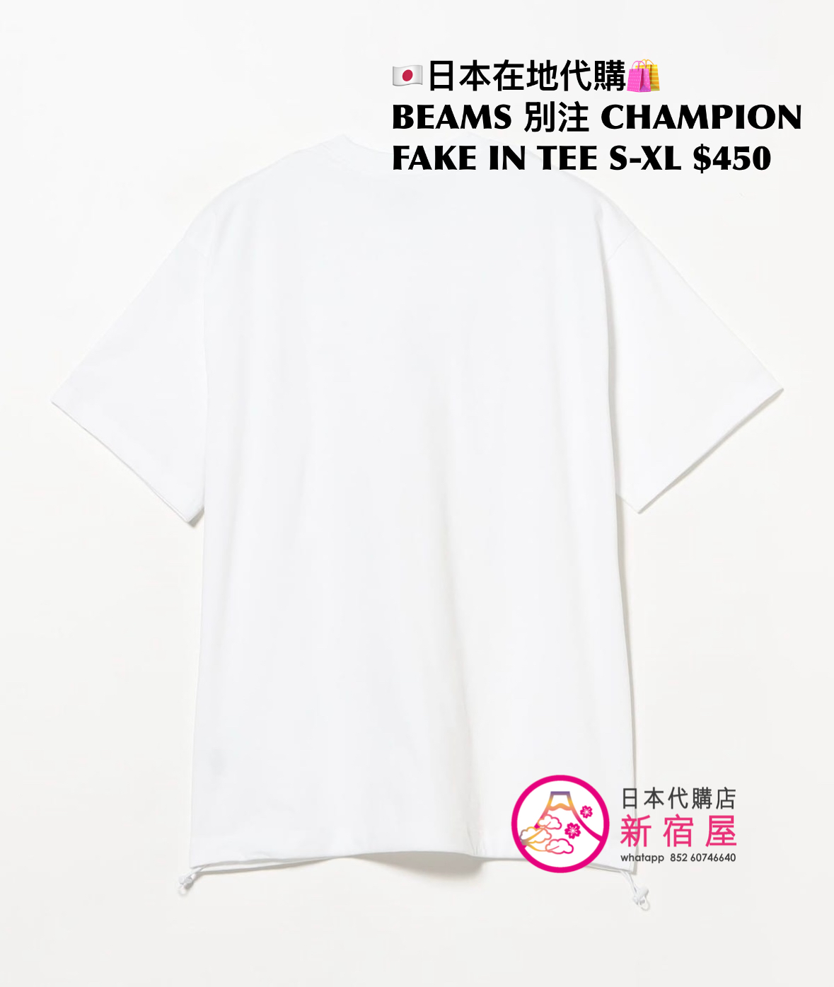 BEAMS 別注 CHAMPION FAKE IN T-SHIRT
