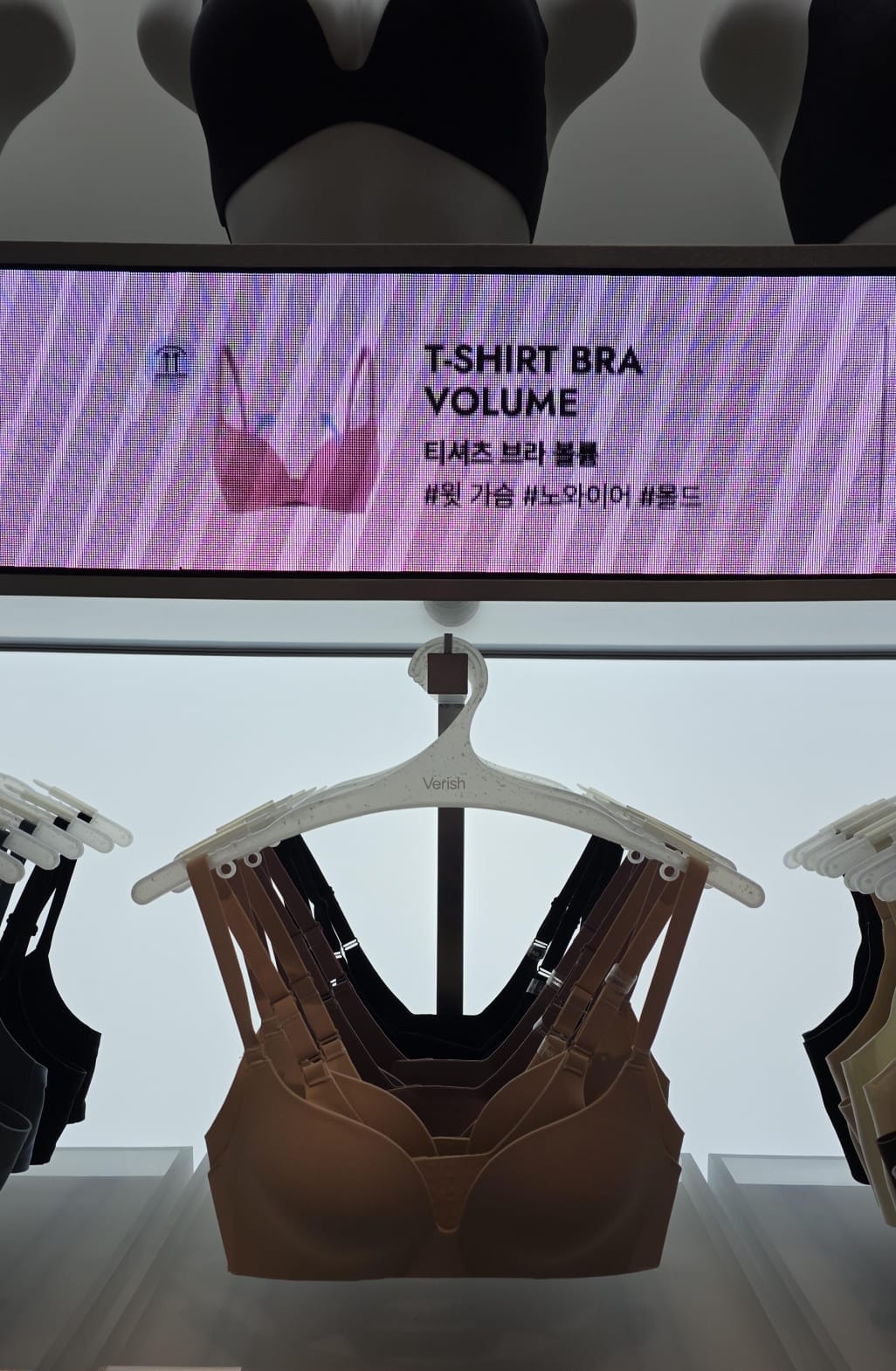 t-shirt bra
