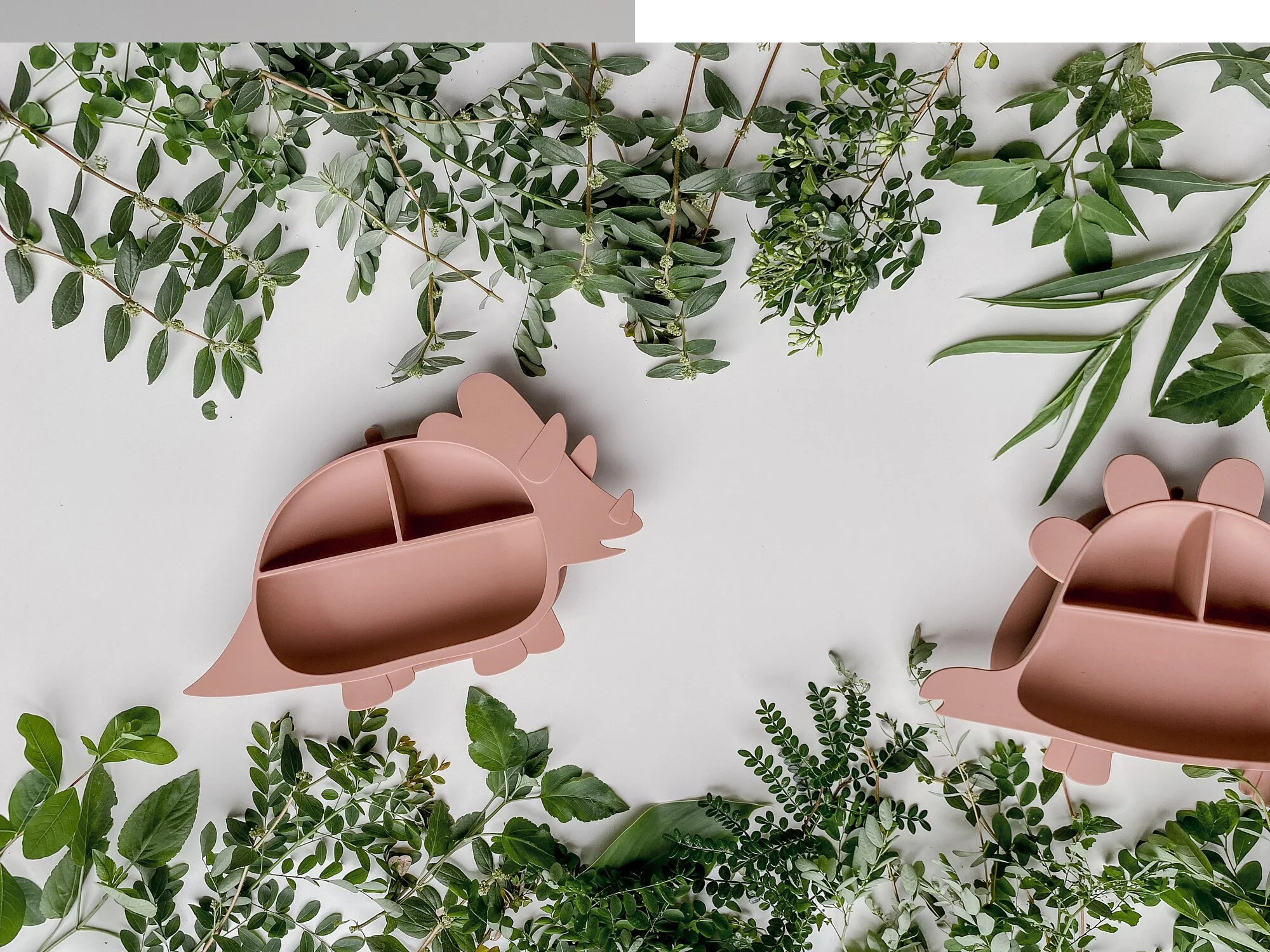 Besovida恐龍兒童學習餐盤