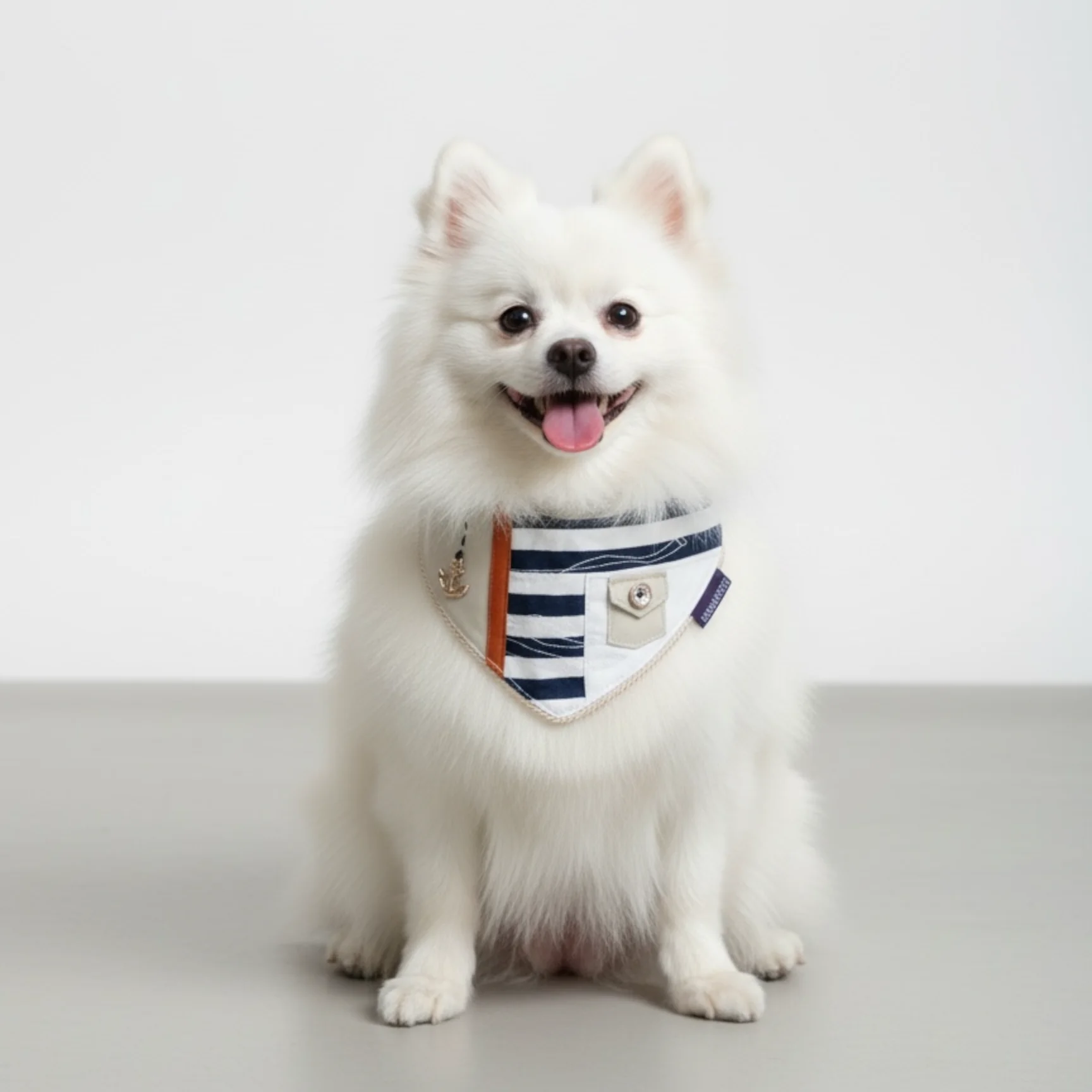 MOMOJI Saint Tropez | Pet Neckwear