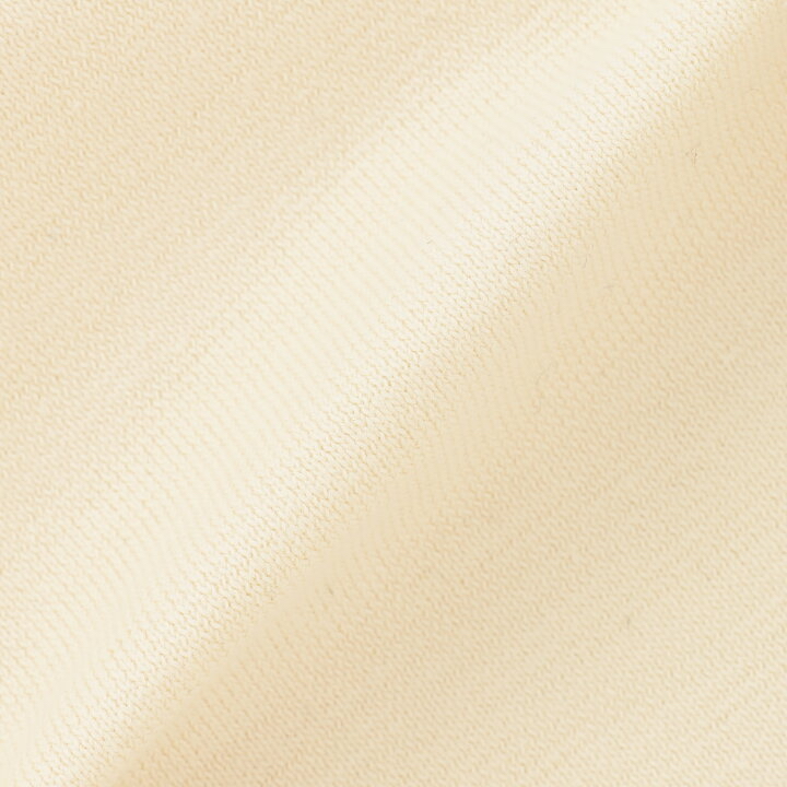 🇯🇵預訂 日本直送🇯🇵Petit Main x 好餓的毛毛蟲系列兩色水果刺繡貼花防水口水圍兜