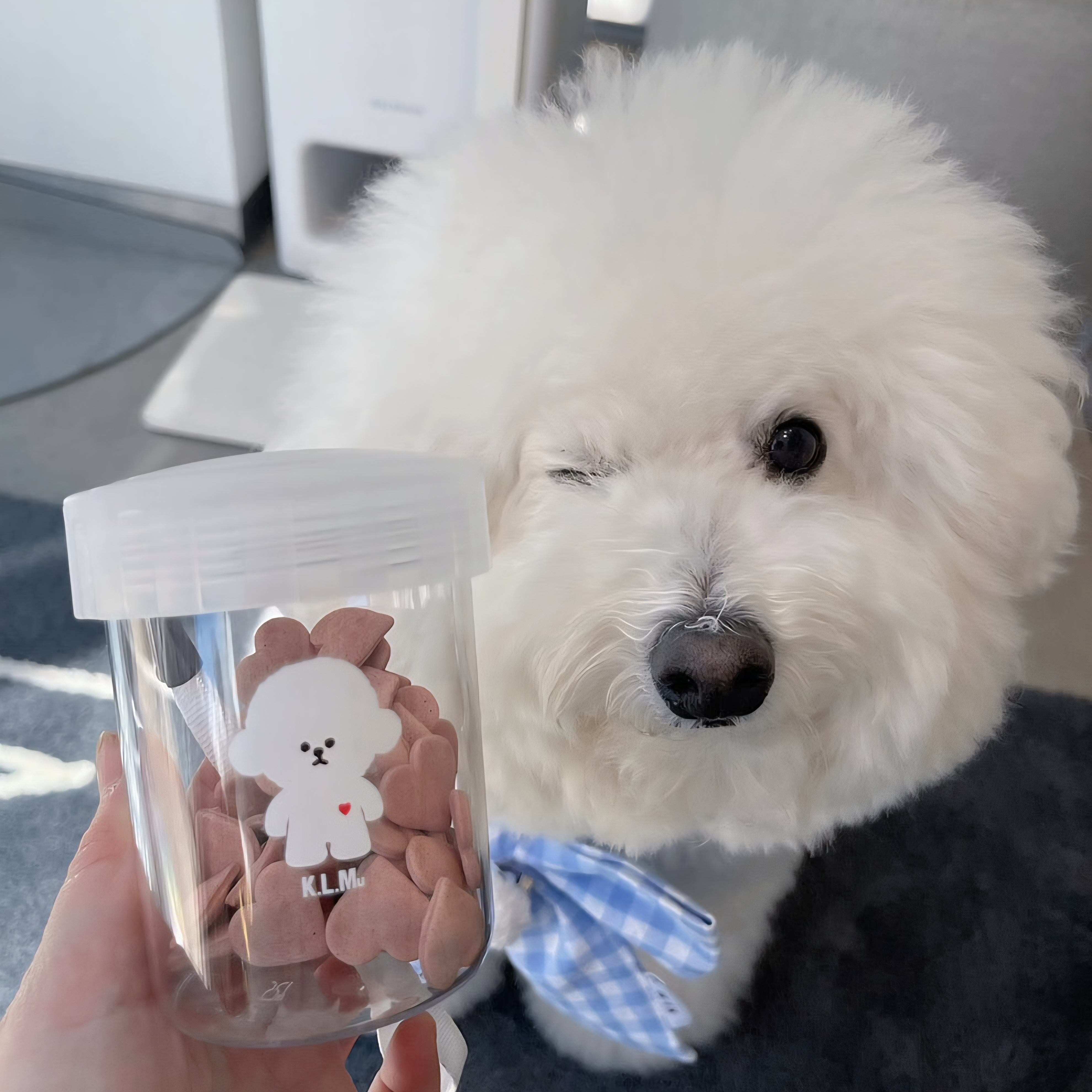 KLM🇯🇵“KLMuCCo Friends”零食瓶裝