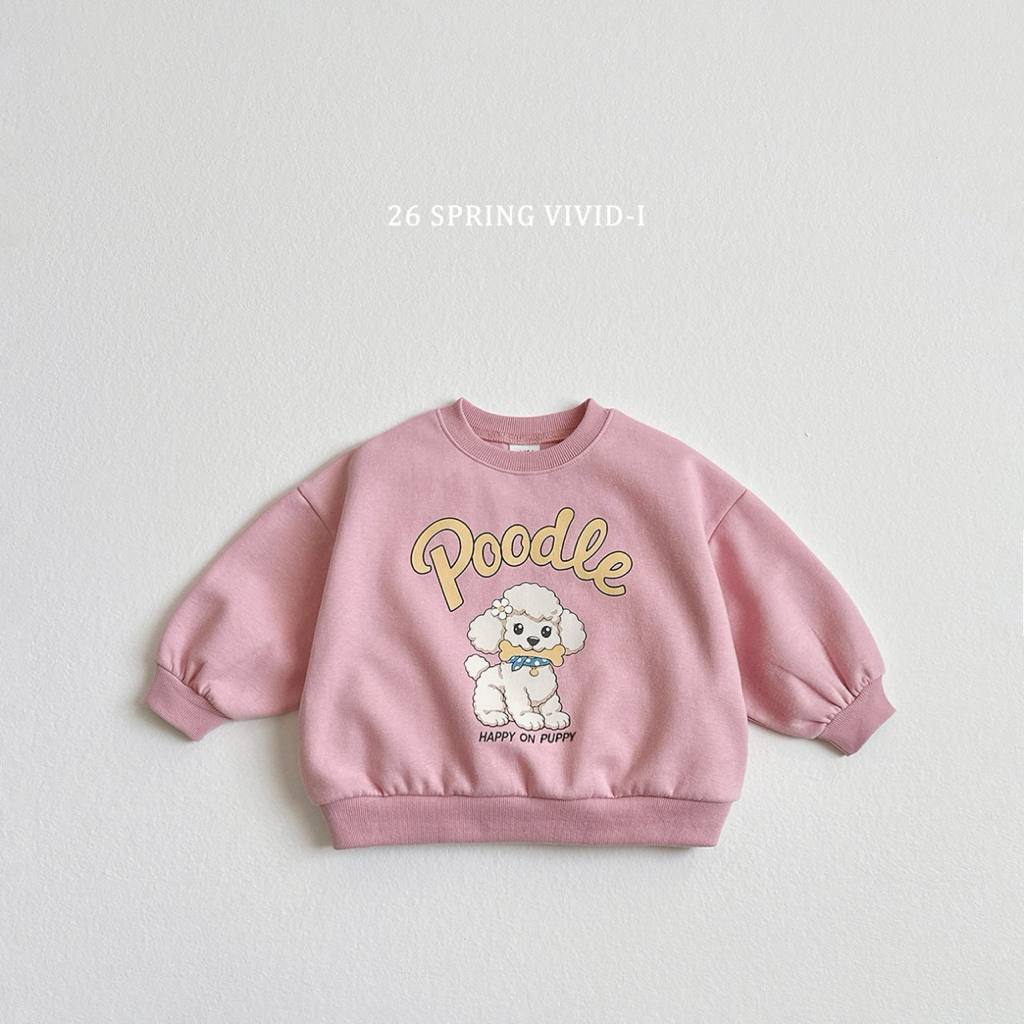 🌸預訂 韓國直送🌸🇰🇷VIVIDI三色動物刺繡貼花寬鬆衛衣