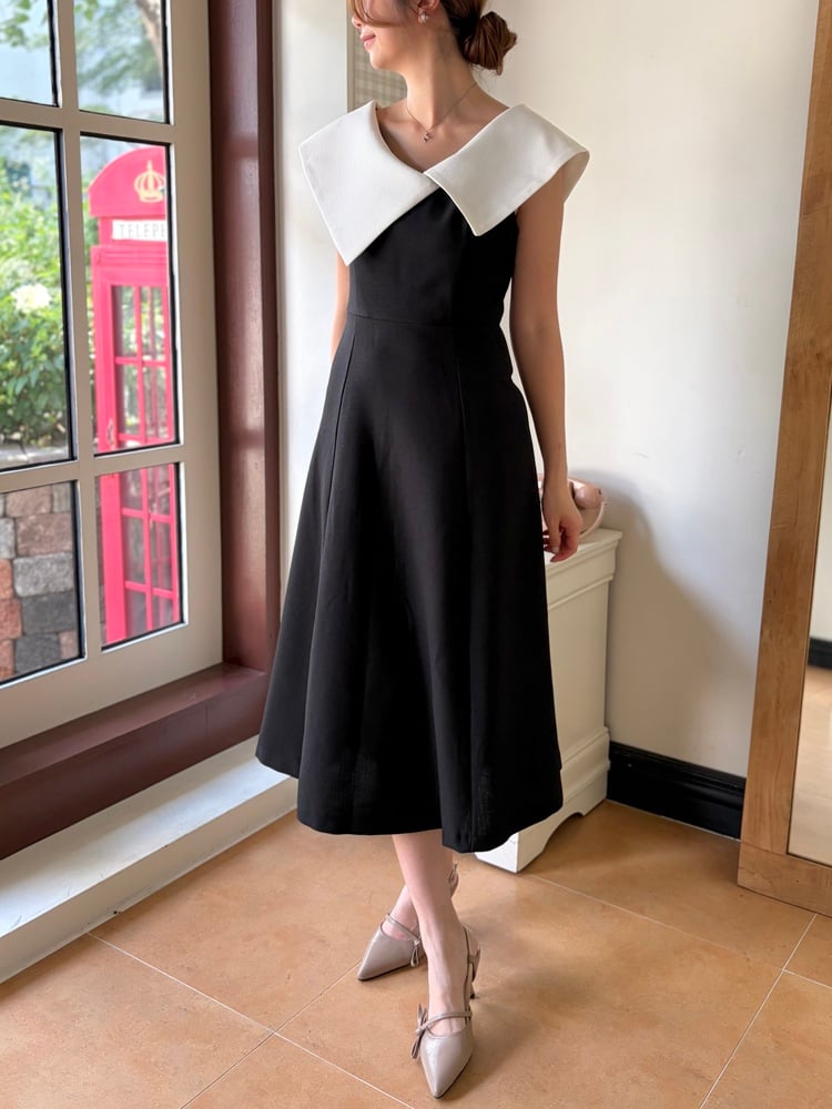 Celine Contrast Collar Dress