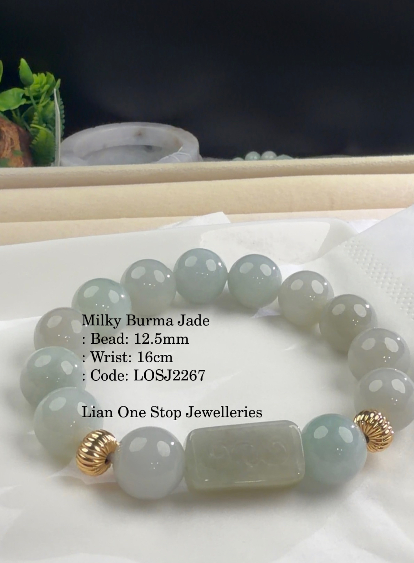Code: LOSJ2267 Milky Burma Jade 12+mm