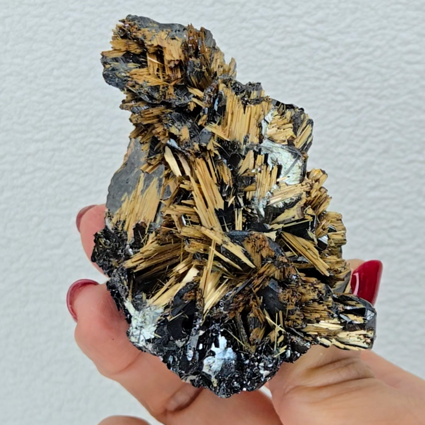 Golden exposed starburst rutiles on black hematite - RT288