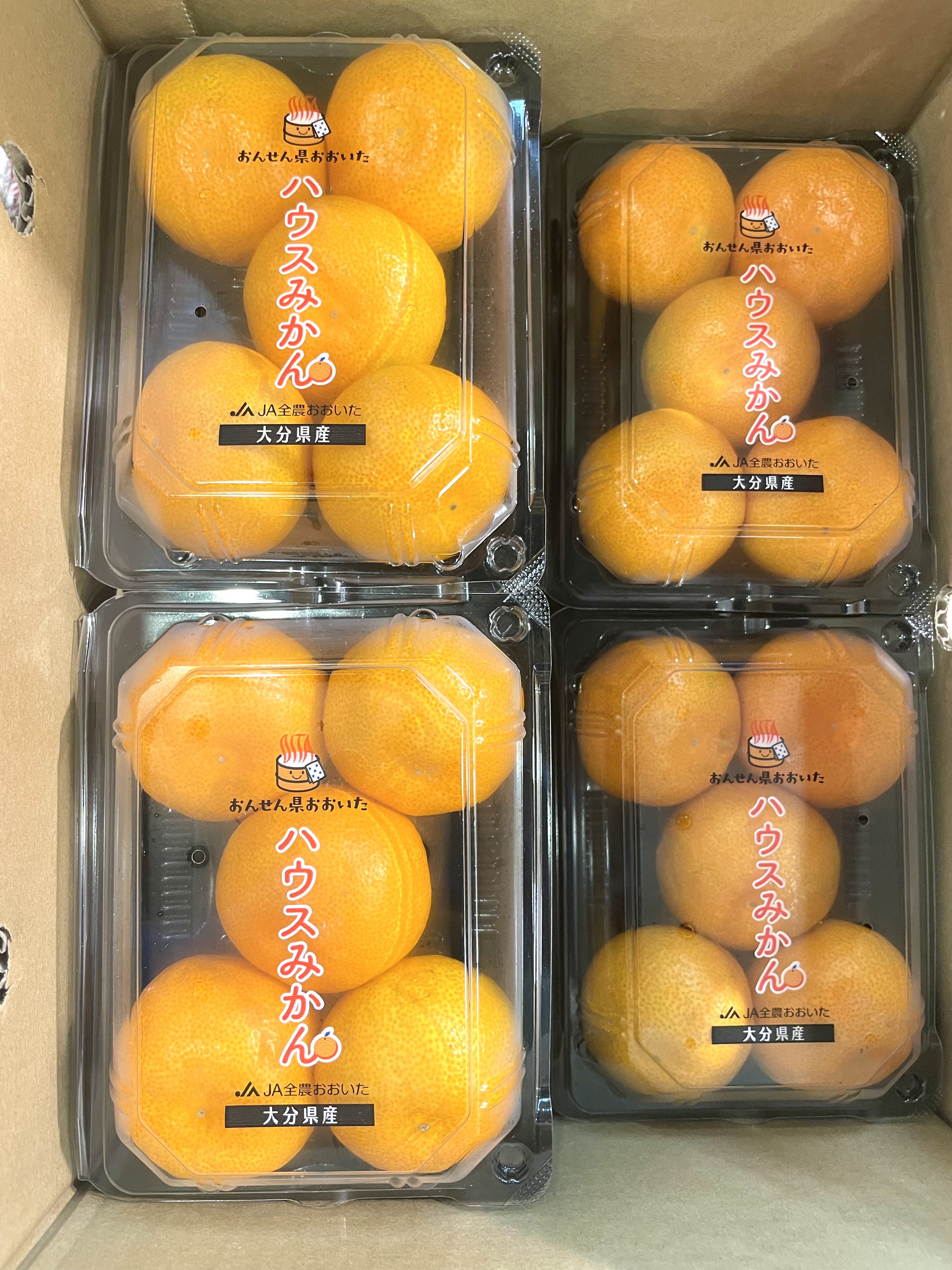 🇯🇵日本【大分縣蜜柑🍊】