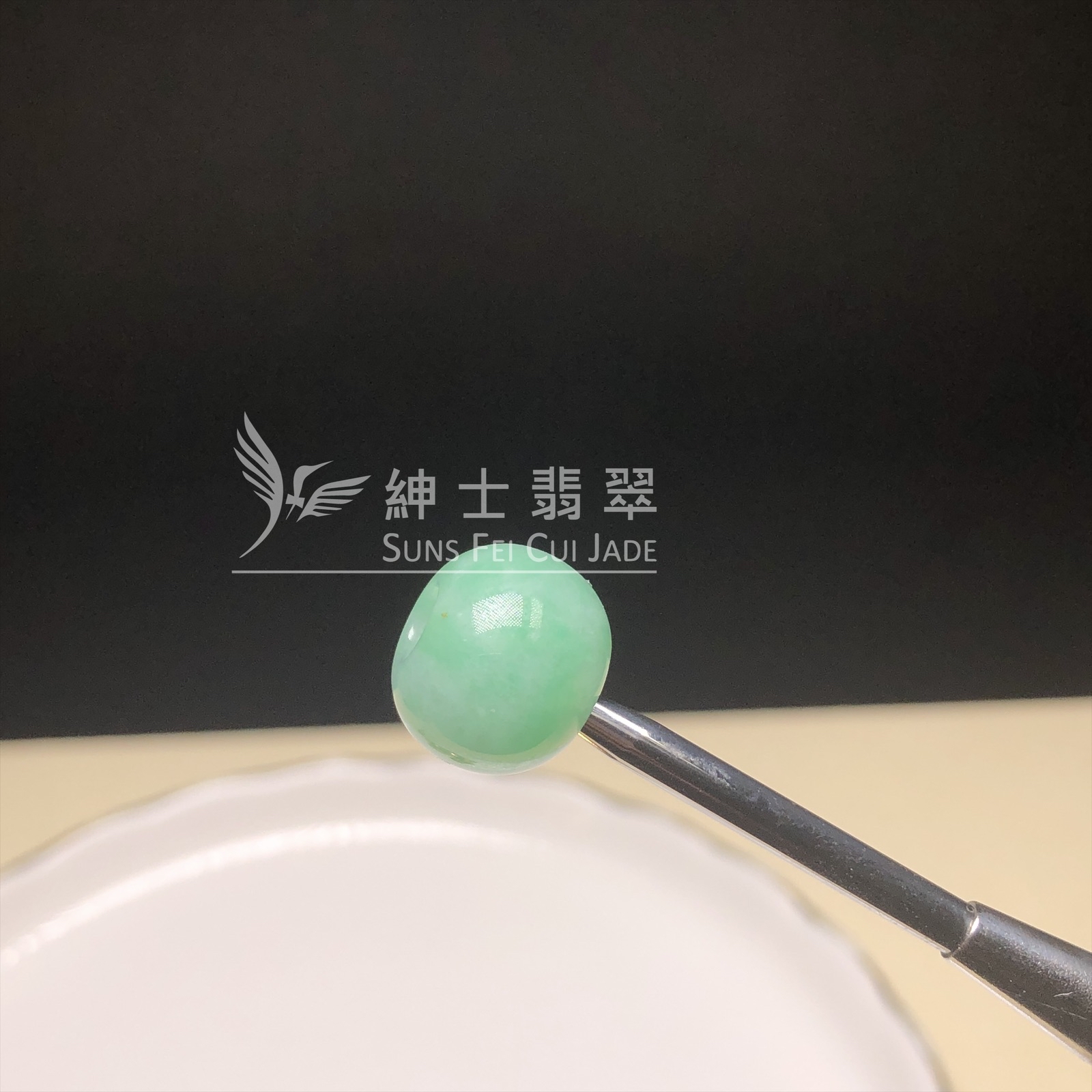  B08593 滿綠路路通