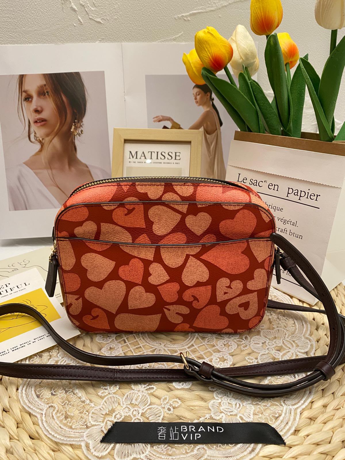 Coach Mini Camera Bag With Heart Print