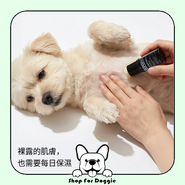 [訂貨2-3星期] 韓國 Hyponic 低敏保濕腳掌膏 Moist Butter Balm 15g