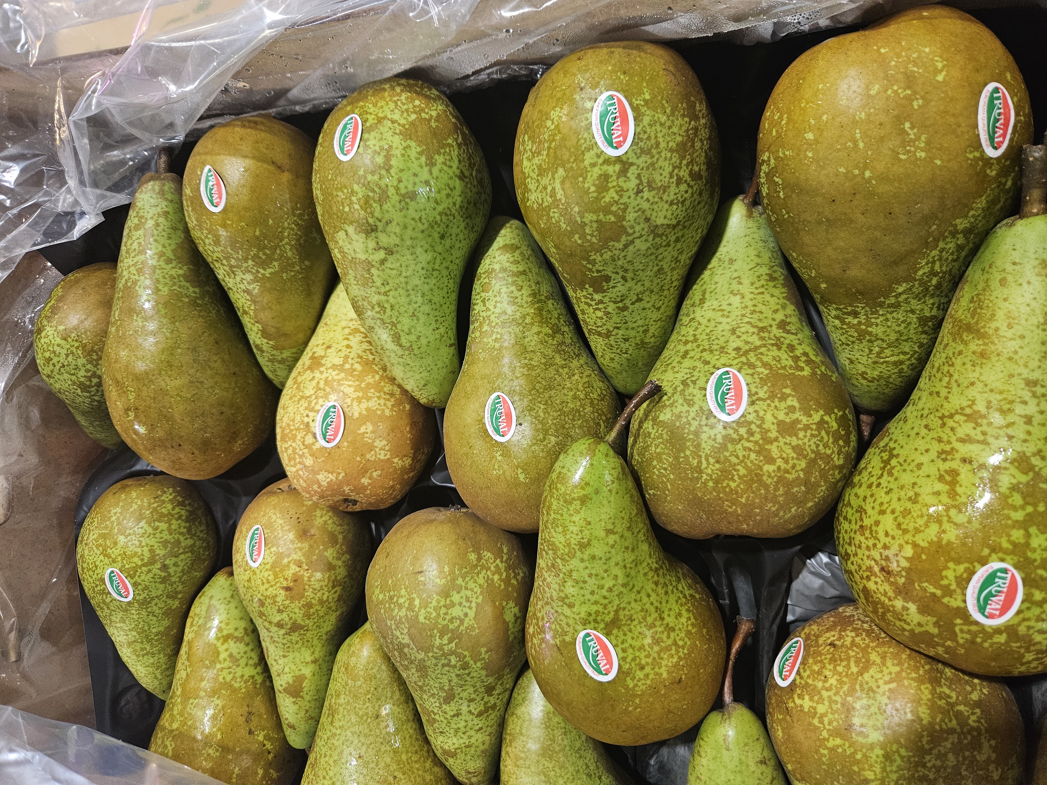 荷蘭长柄啤梨 每份两個