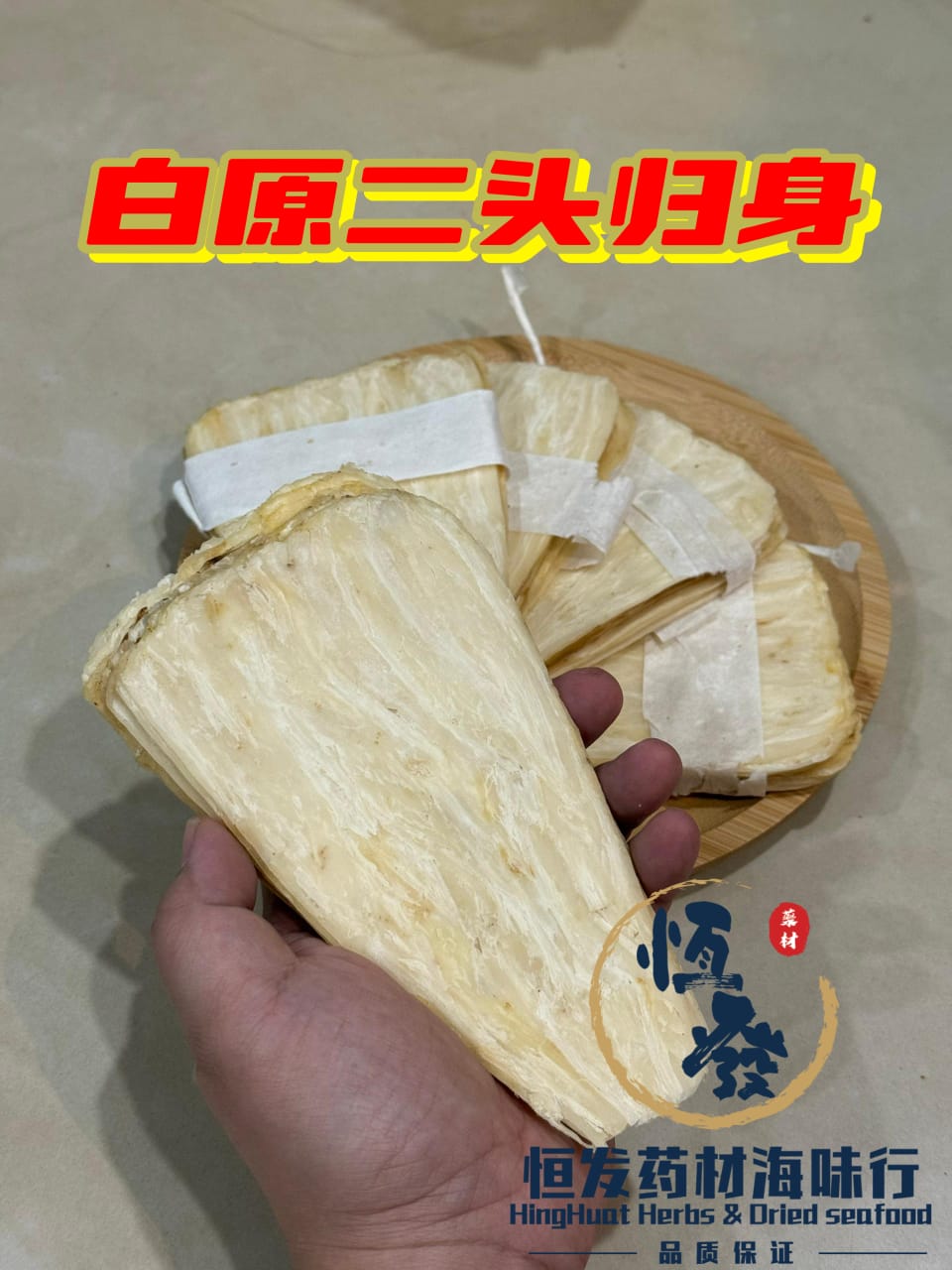 恒发 ‖白原二头归身 Angelica sinensis 性质比归片温和