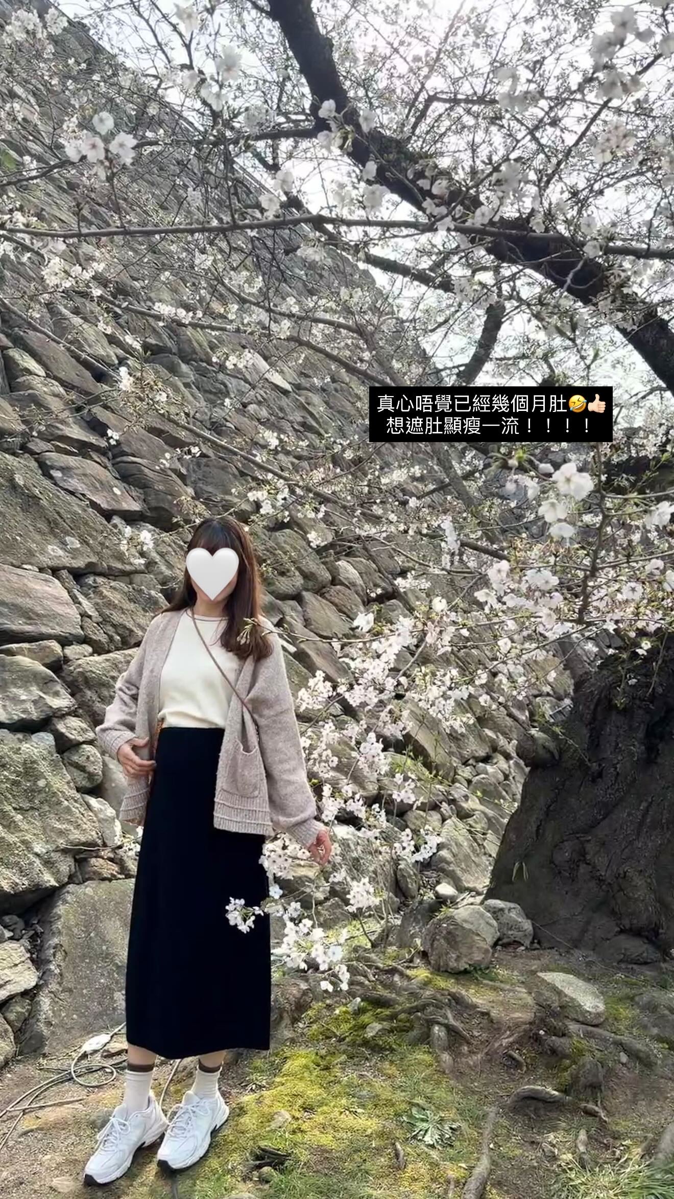 Elastic Waist Skirt（現貨）