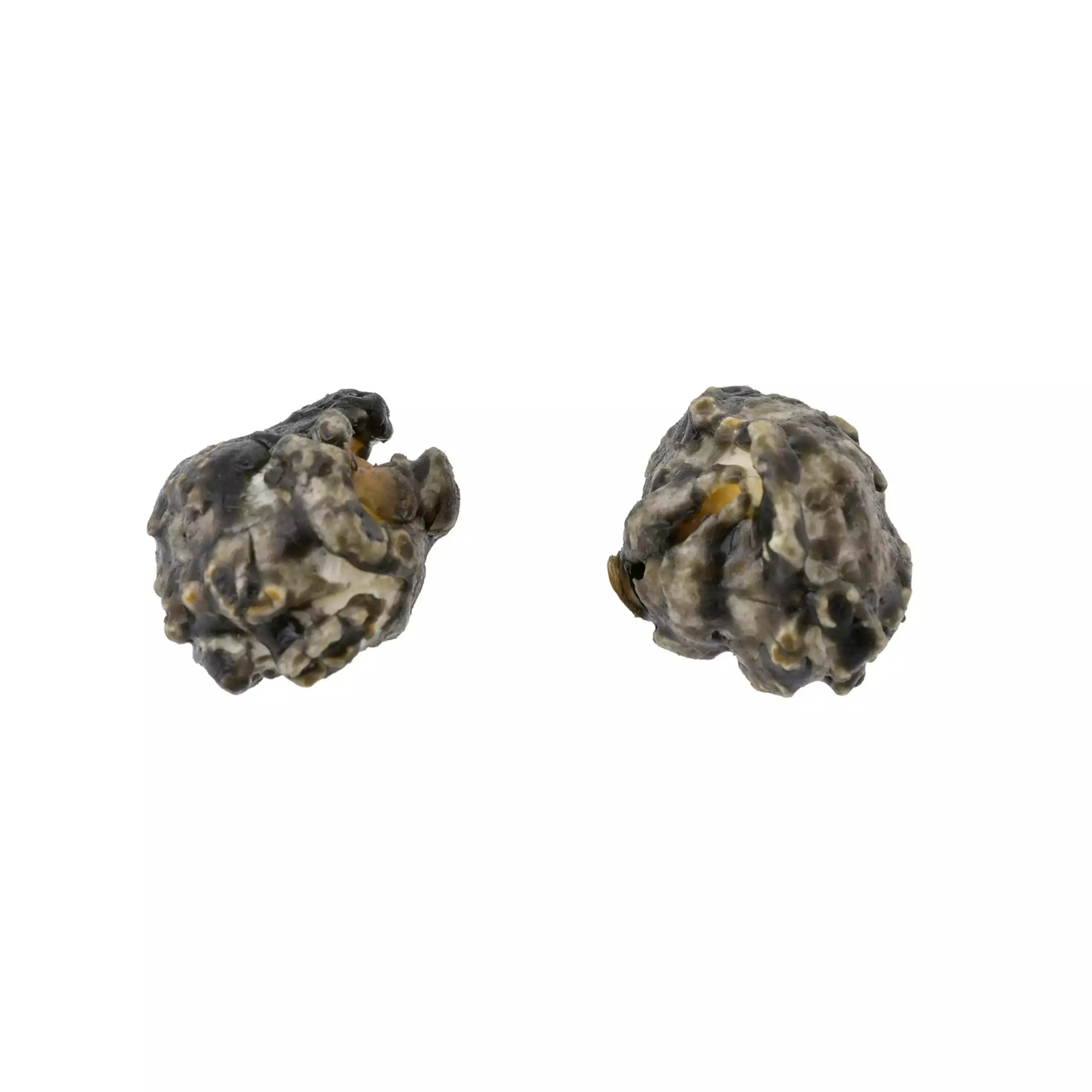 🌸 【預訂】jack Popcorn <Black Caramel> - BLACK STYLE