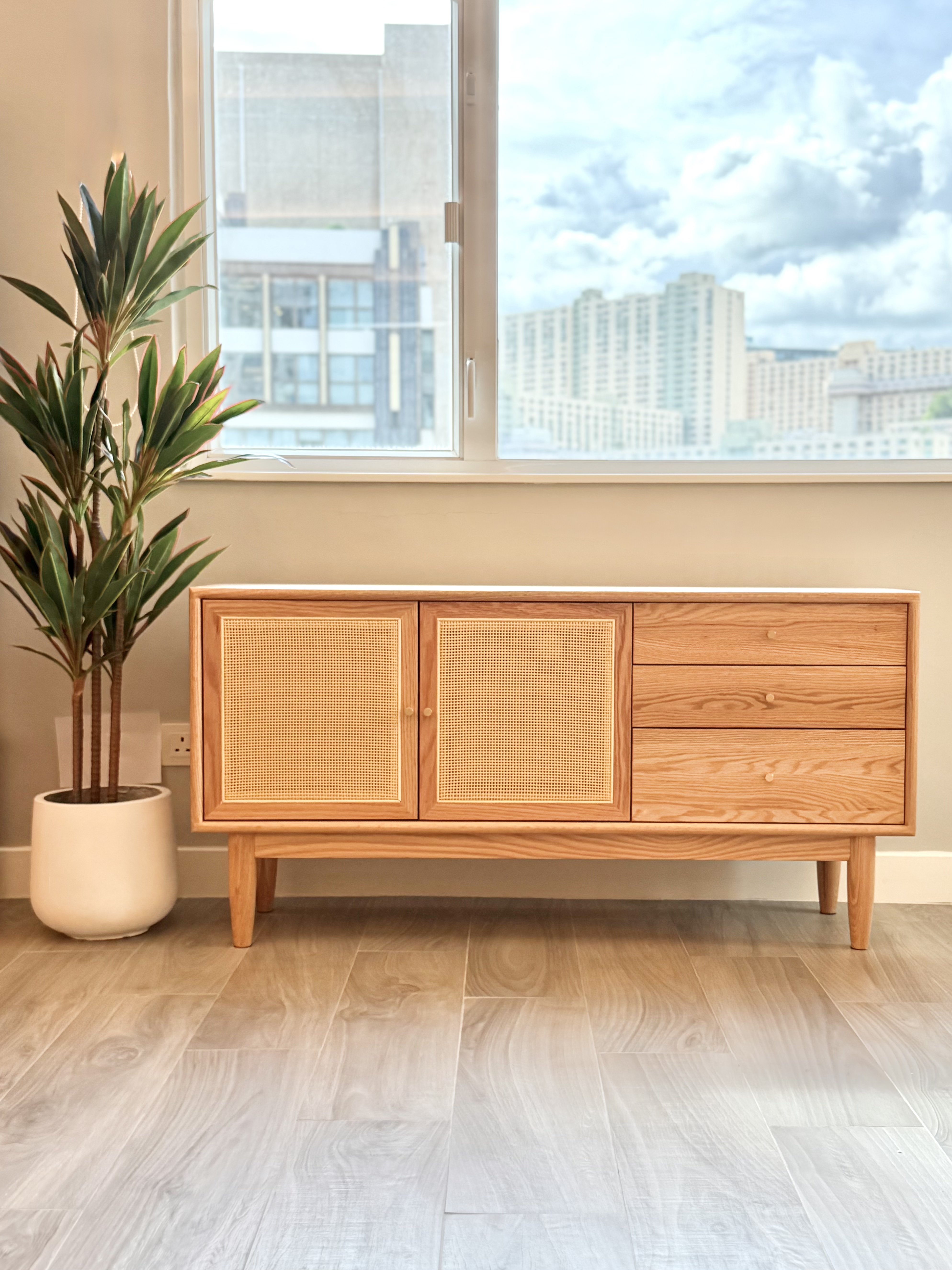 SAGION TV Cabinet