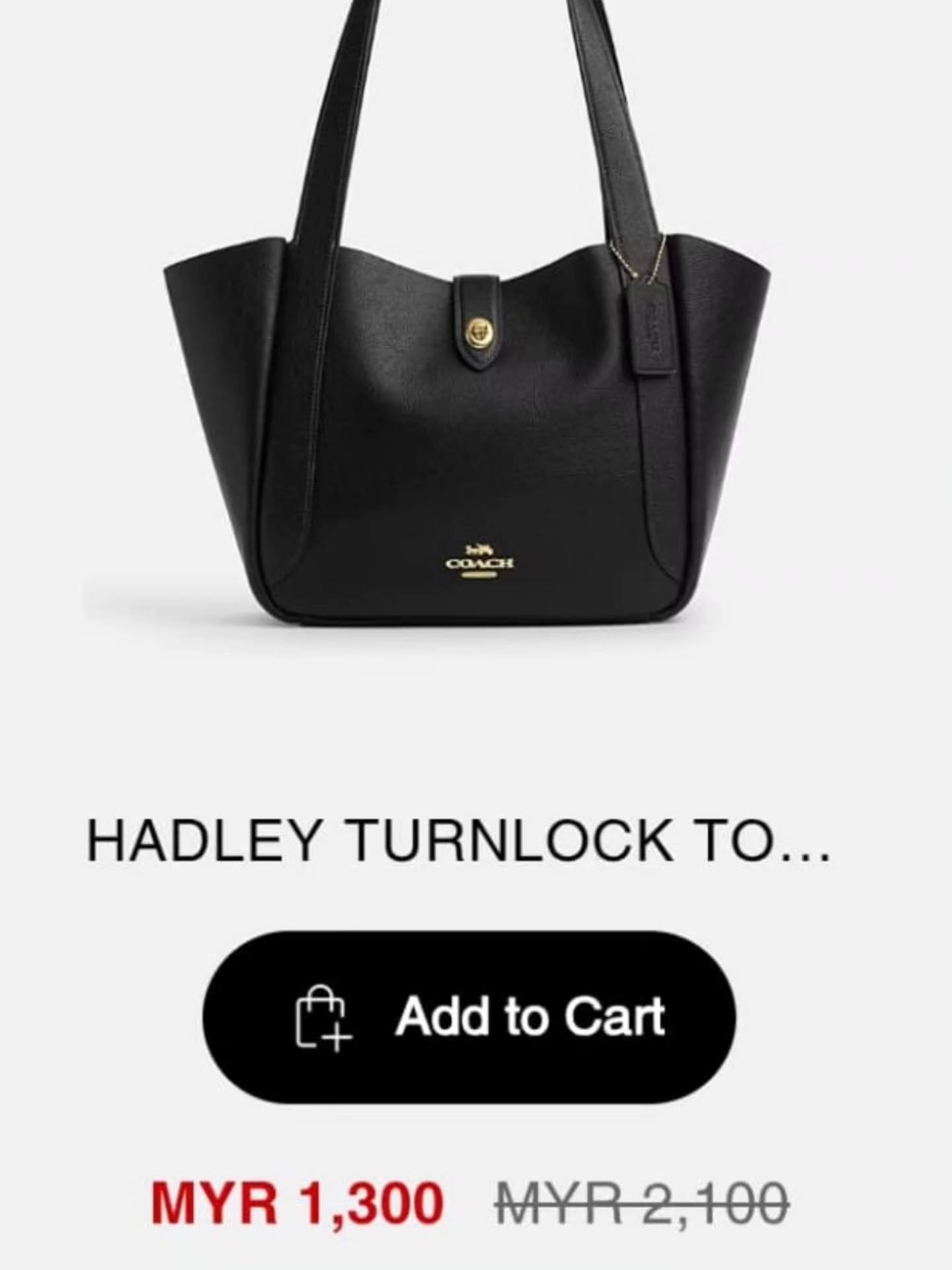 🇯🇵Coach Hadley 托特包