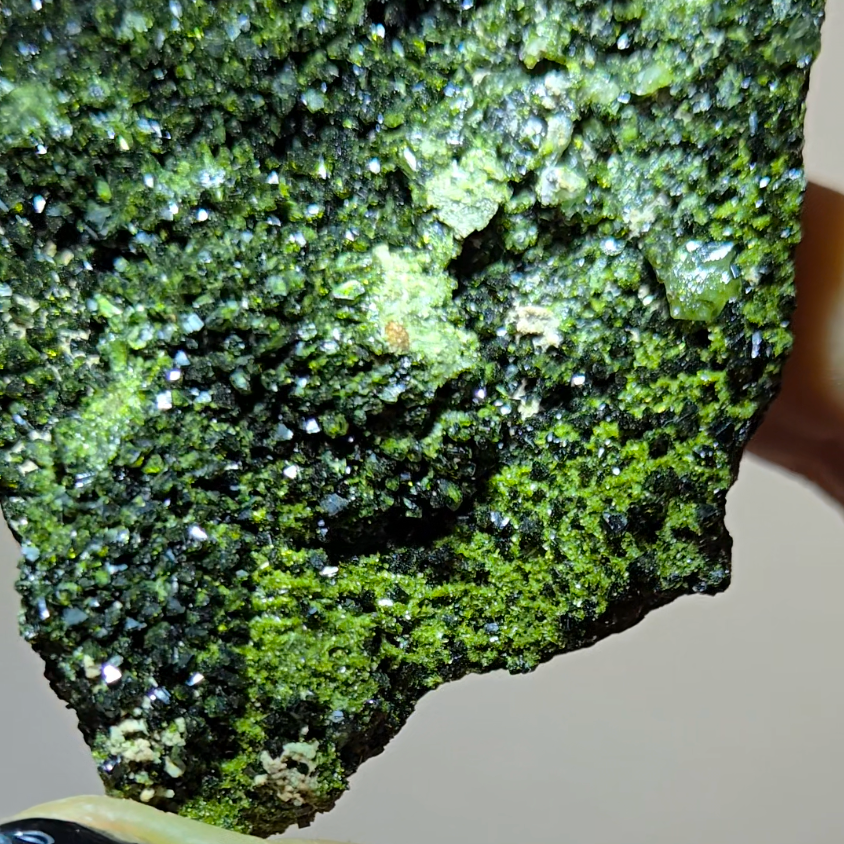 Epidote specimen with quartz inclusions - ED5