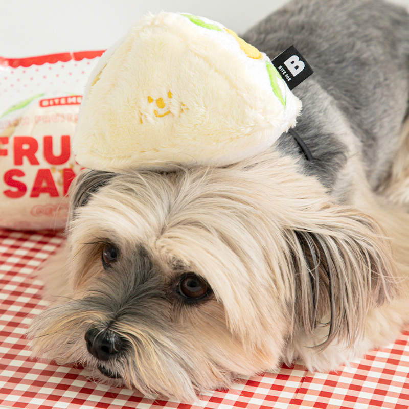 *預購 BiteMe🇰🇷 Fruit Sandwich Toy