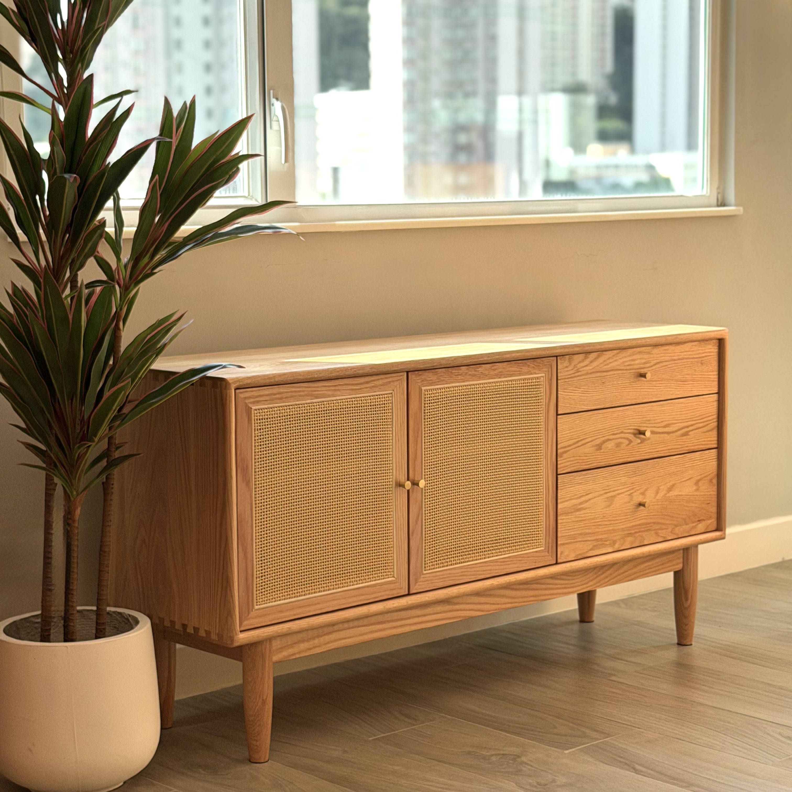 SAGION TV Cabinet