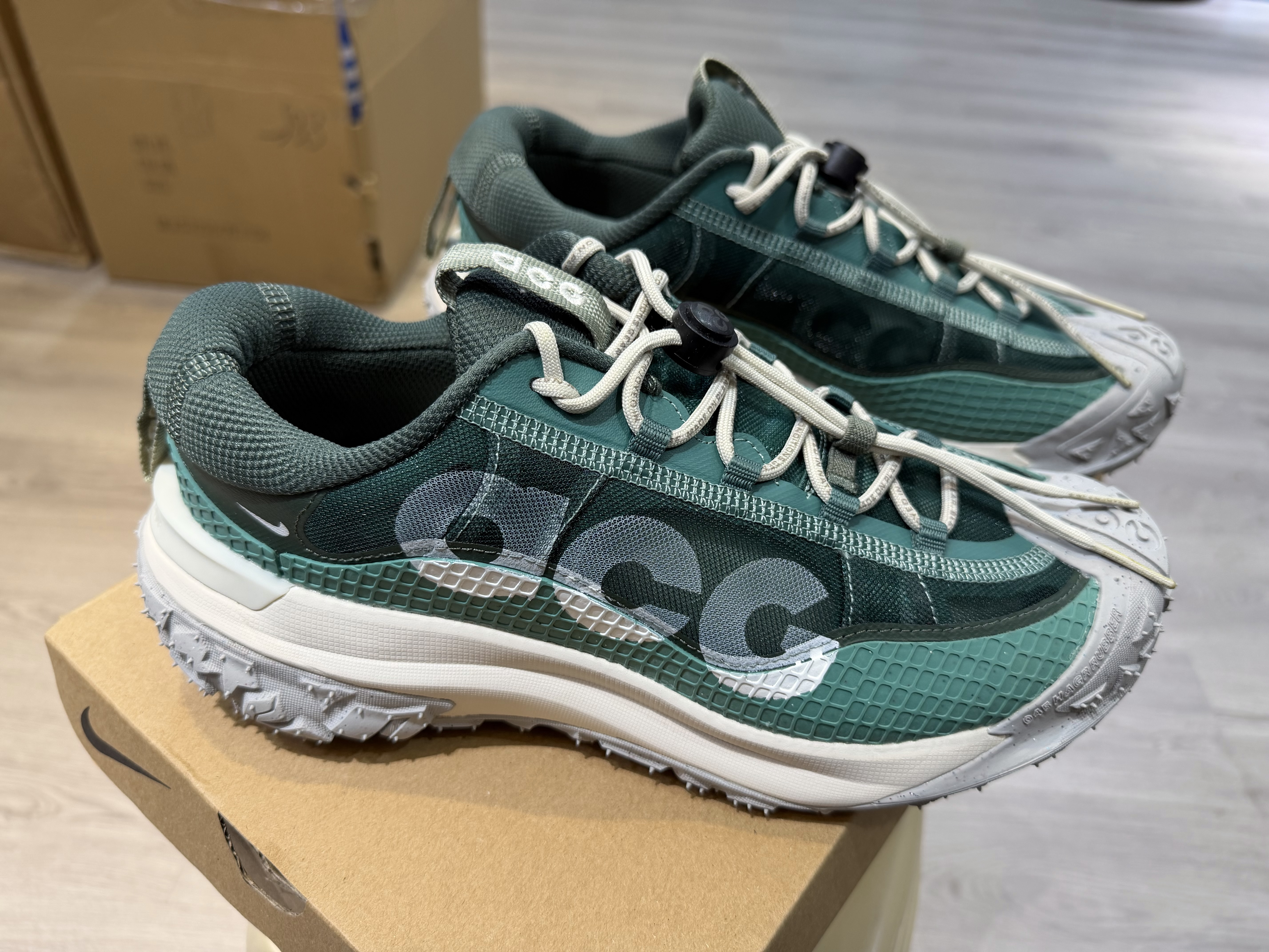 Nike ACG Mountain Fly 2 Low
